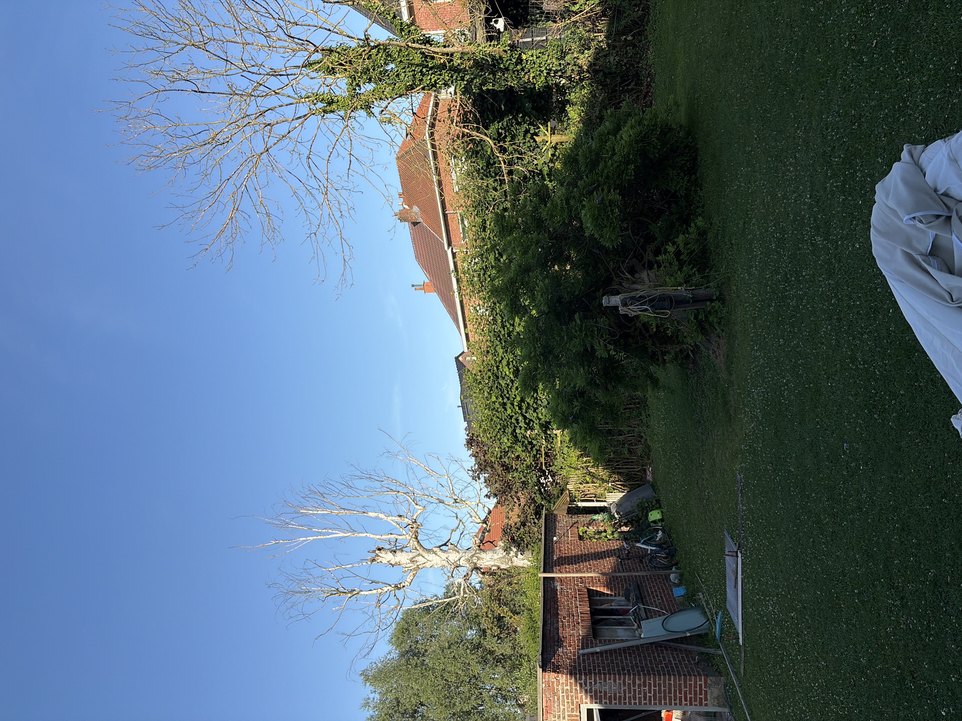 image-19