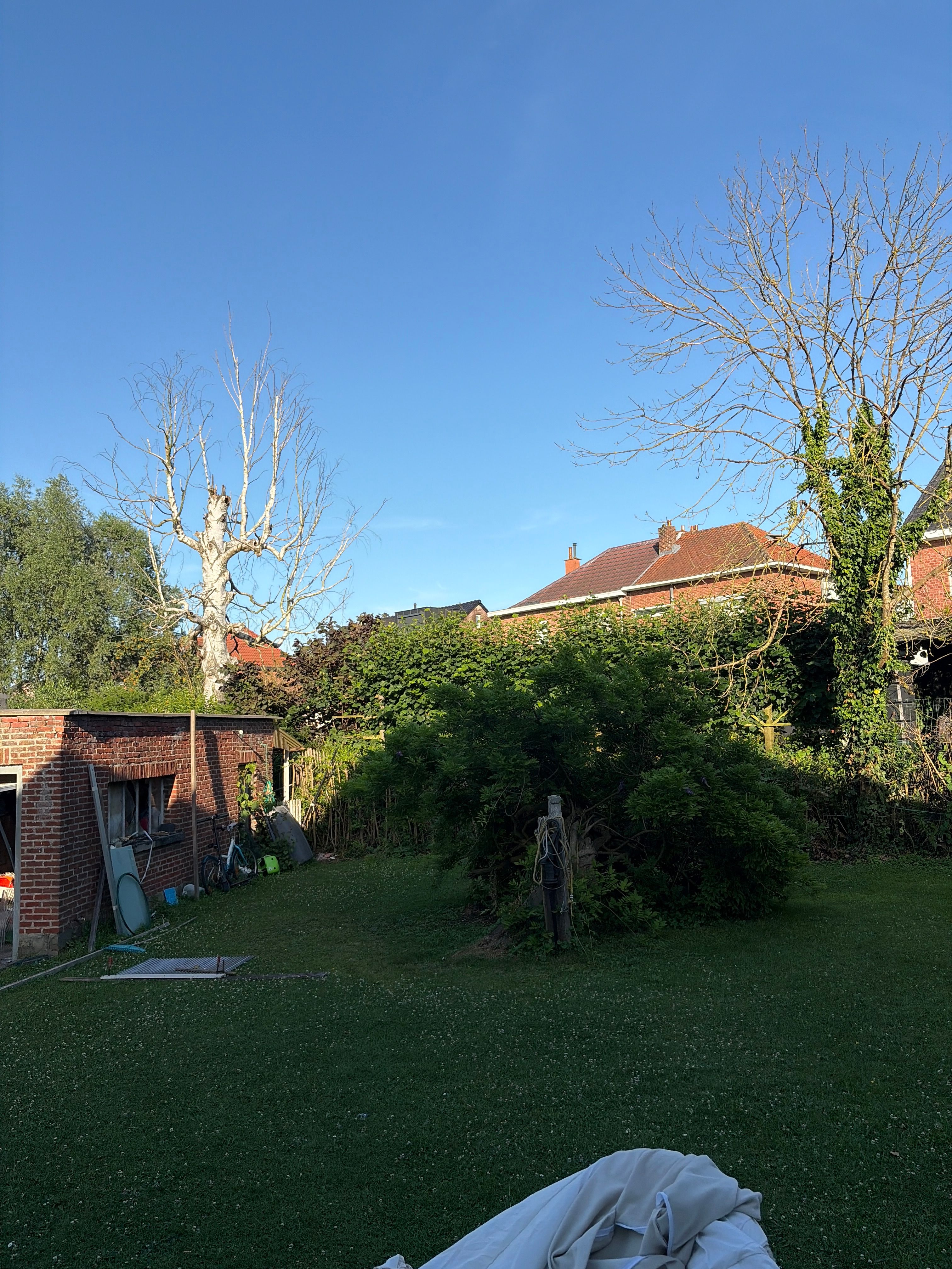 image-19