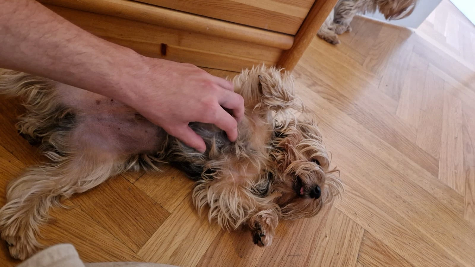 image-6