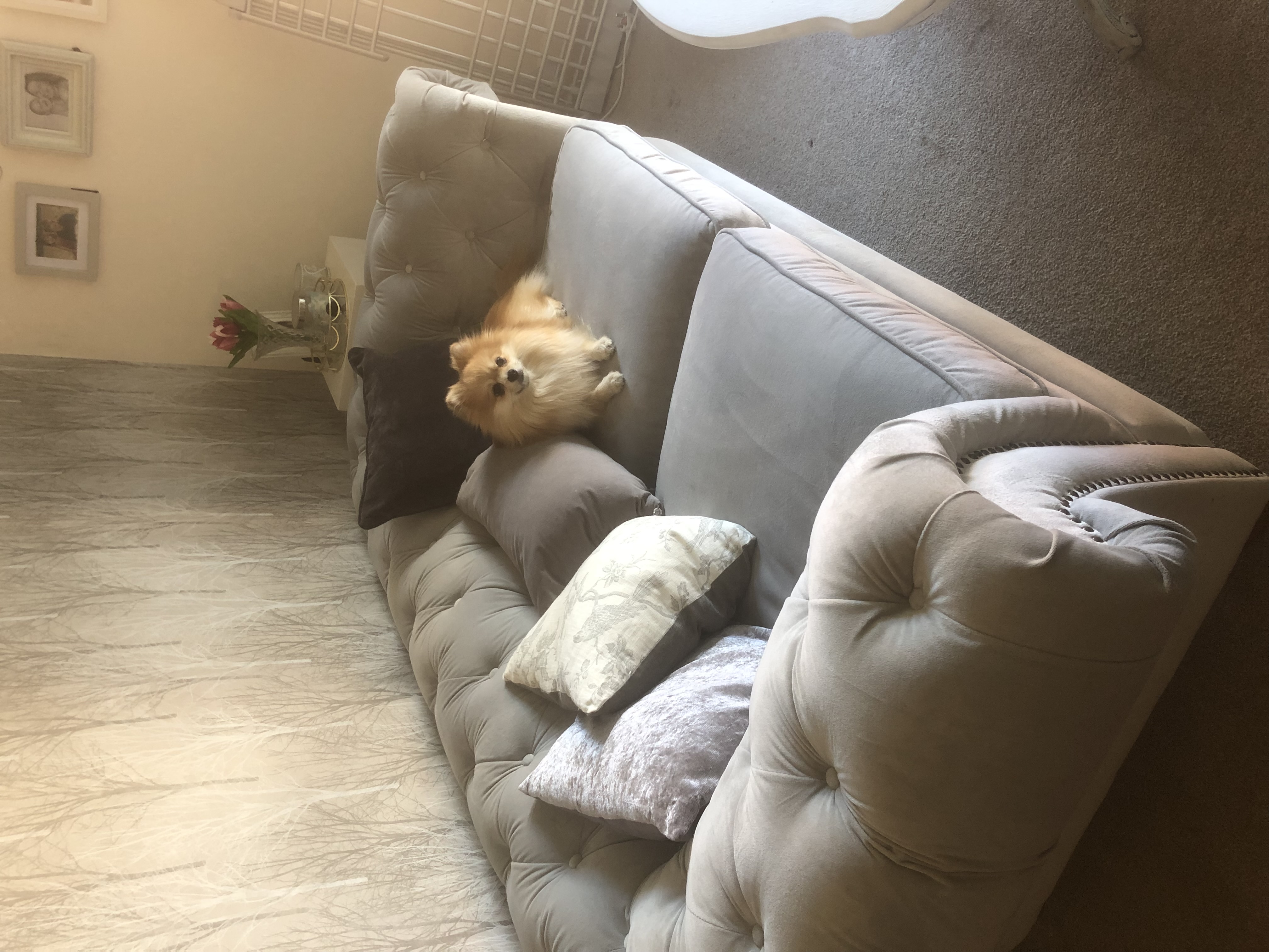 image-11