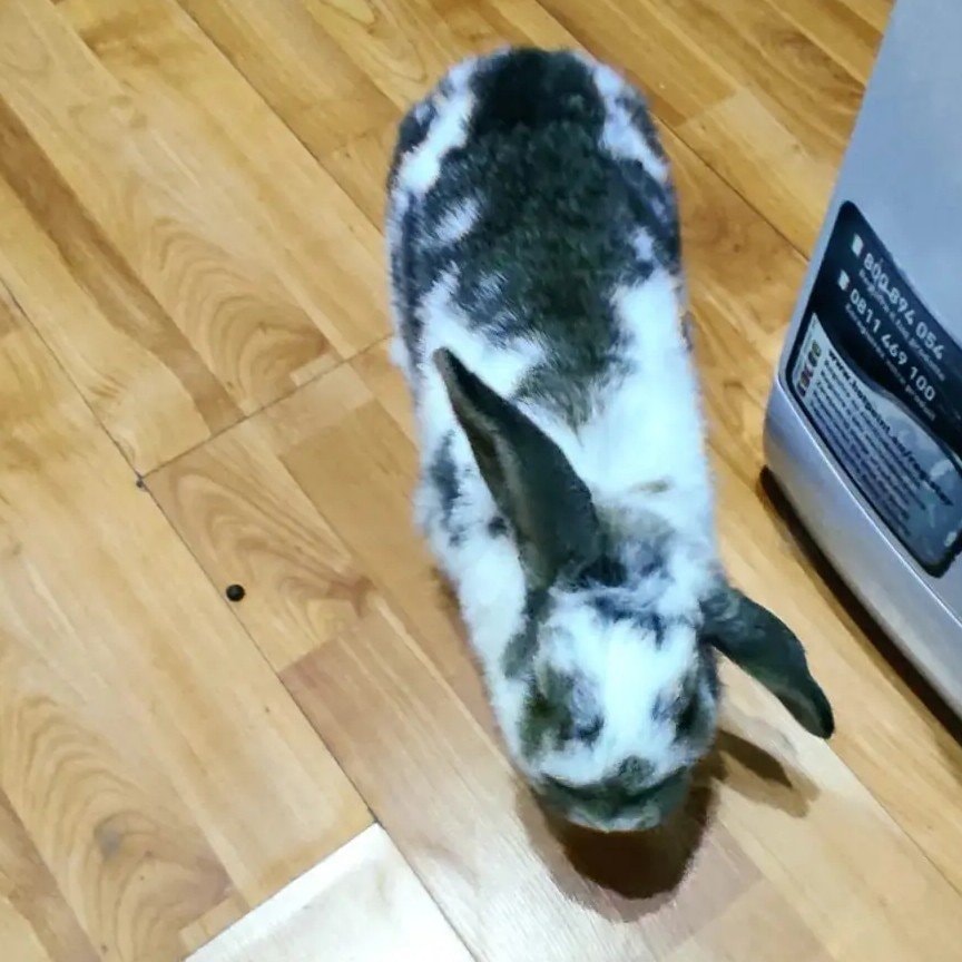 image-9