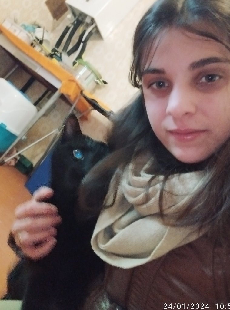 image-17