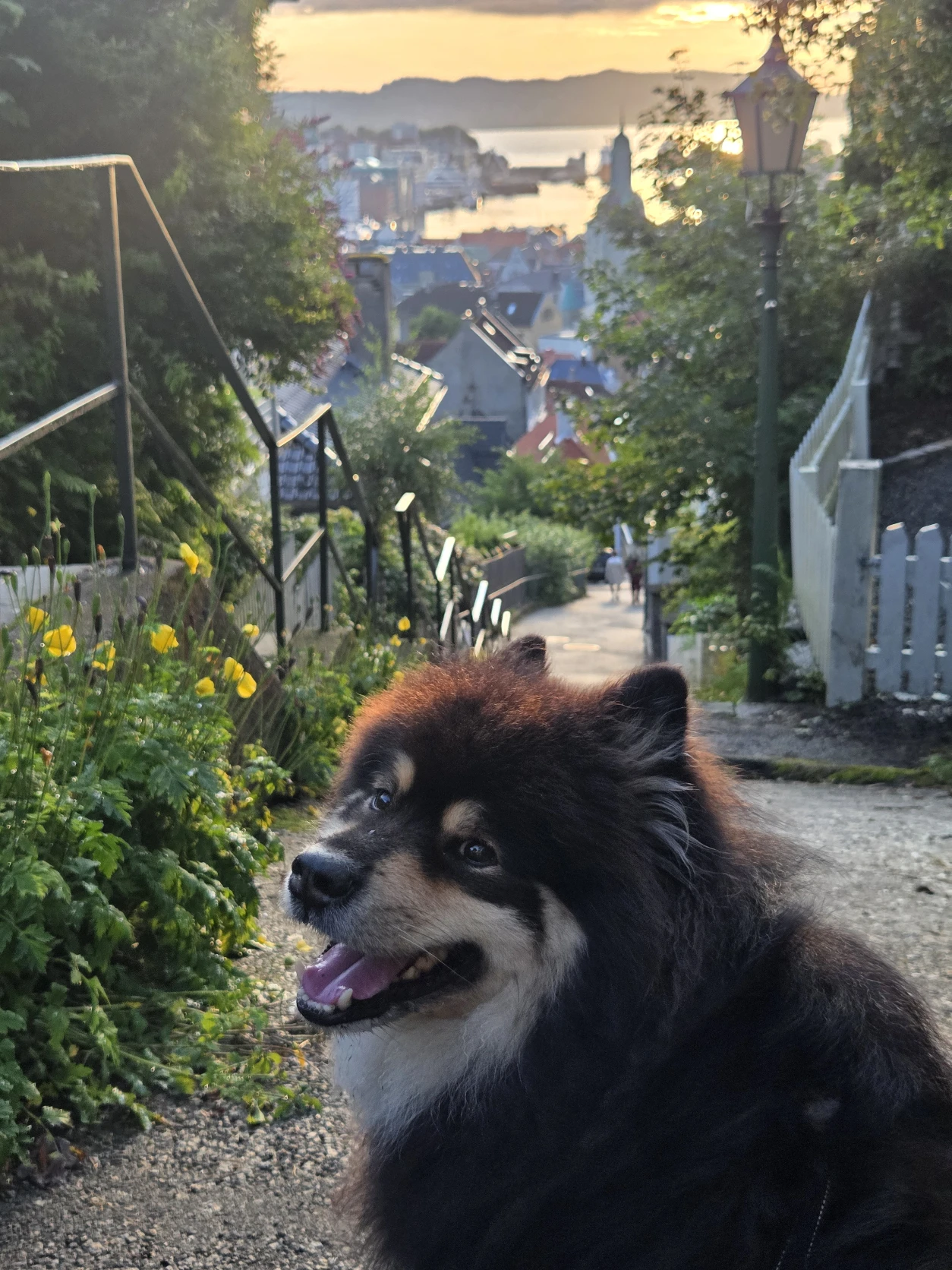 image-8