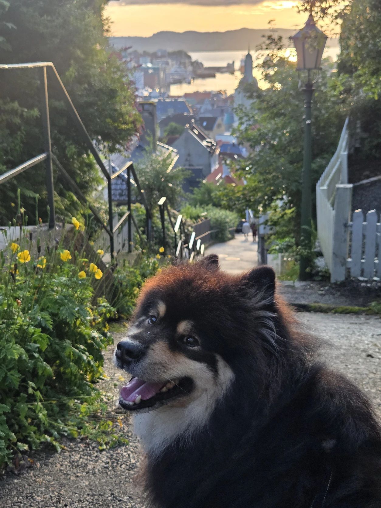 image-8