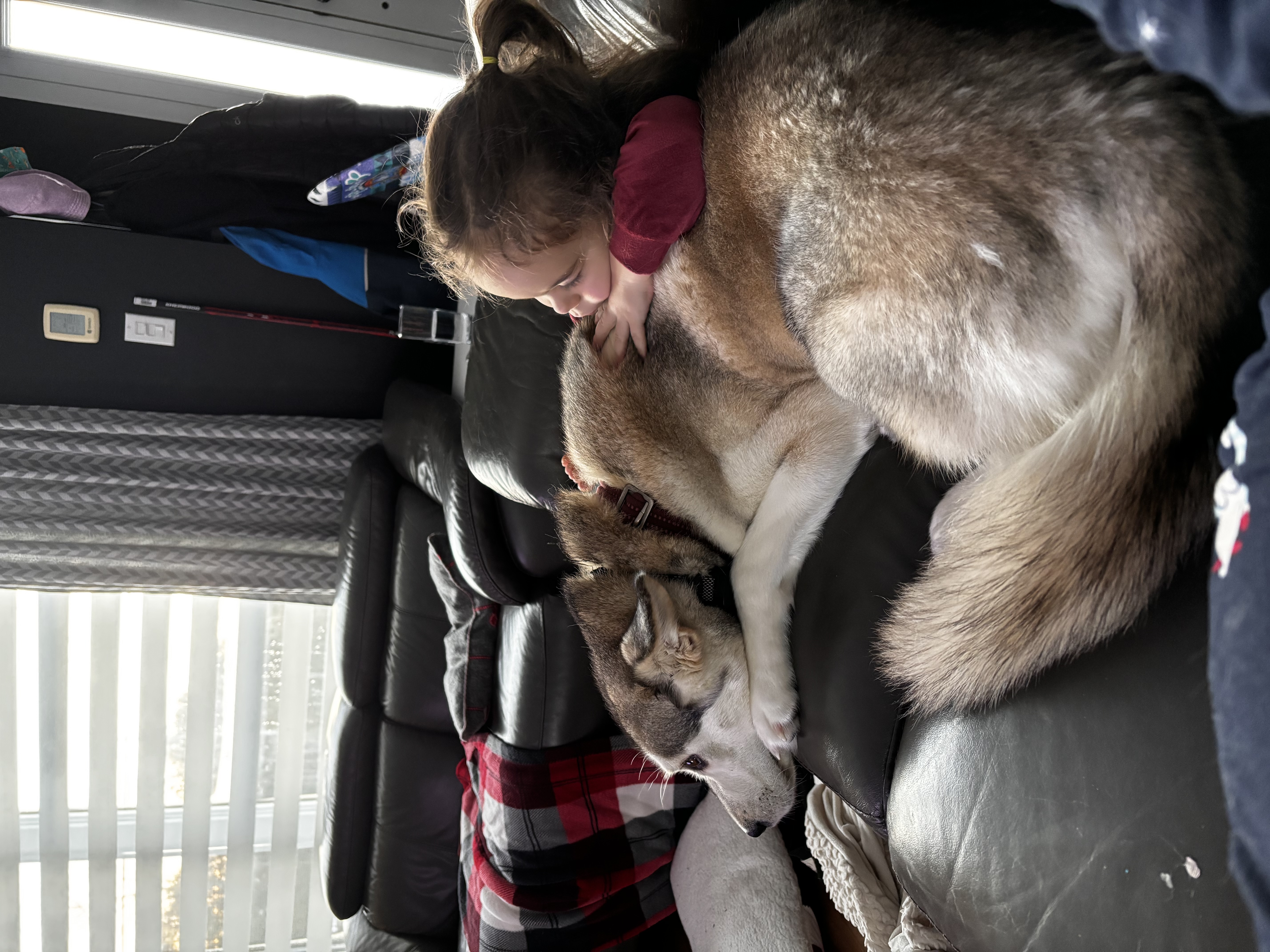 image-11
