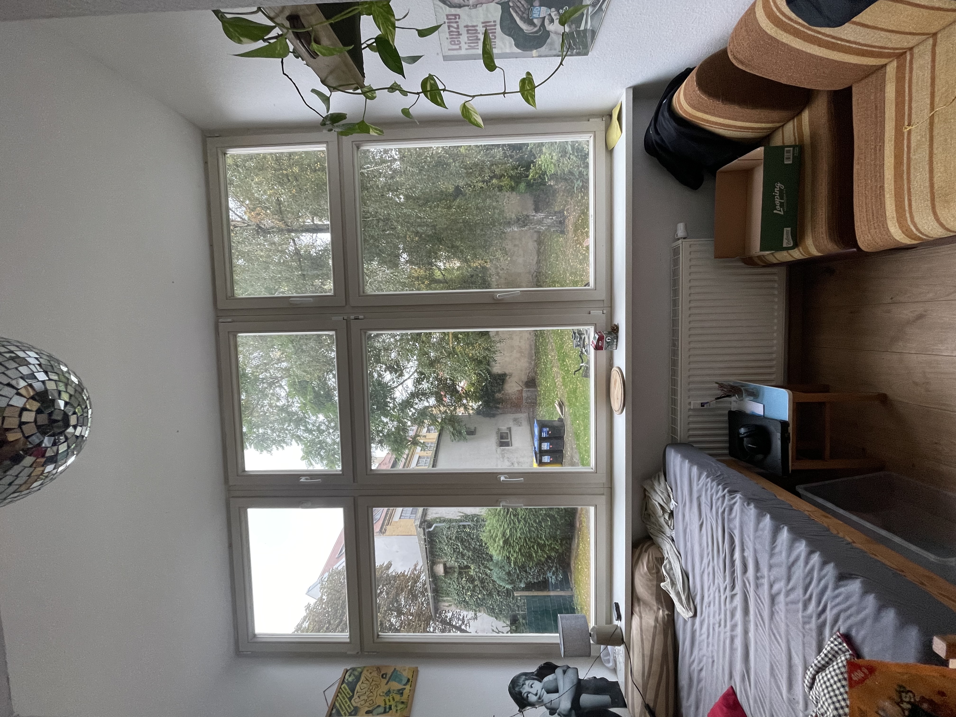 image-17