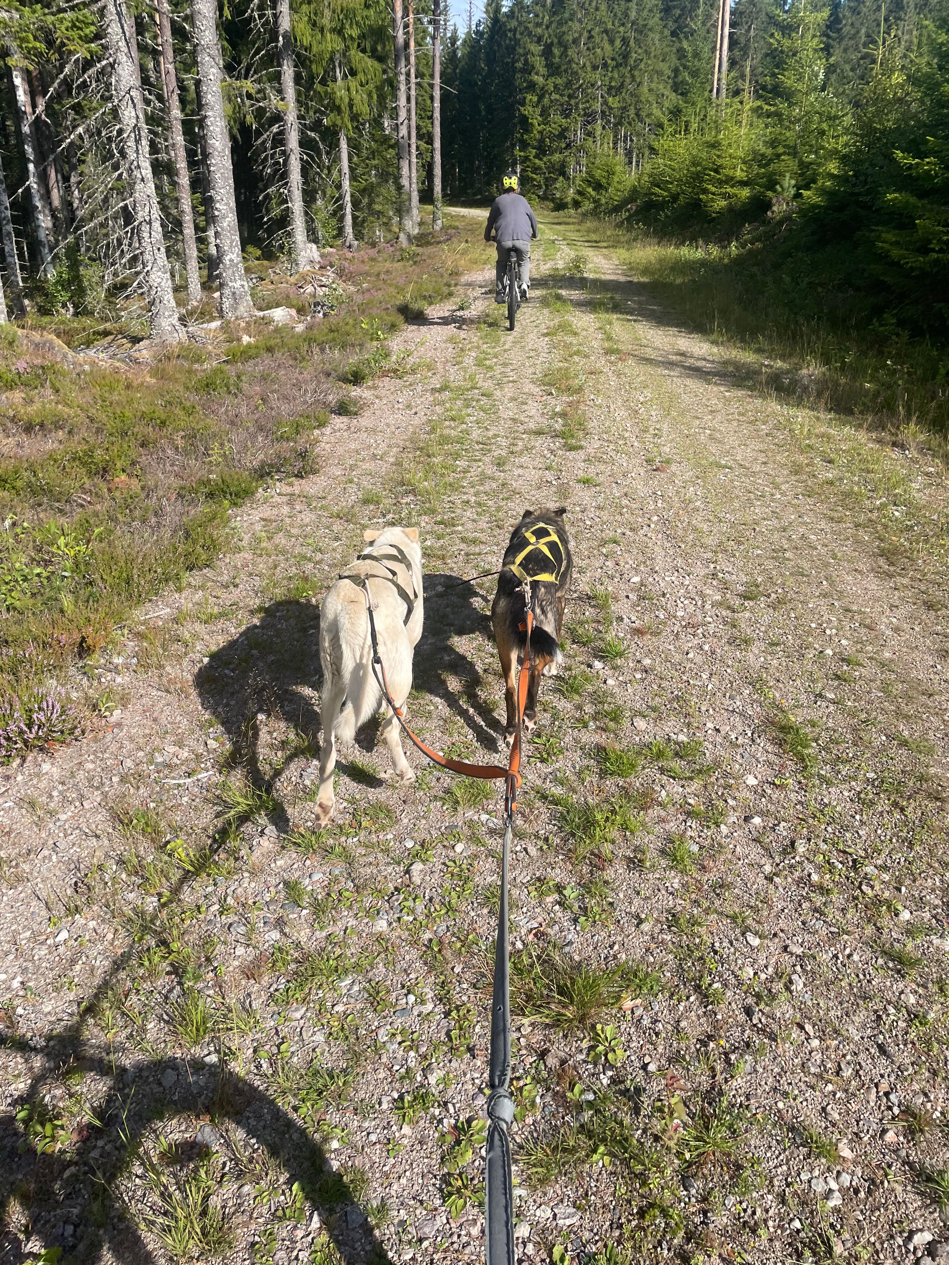 image-14