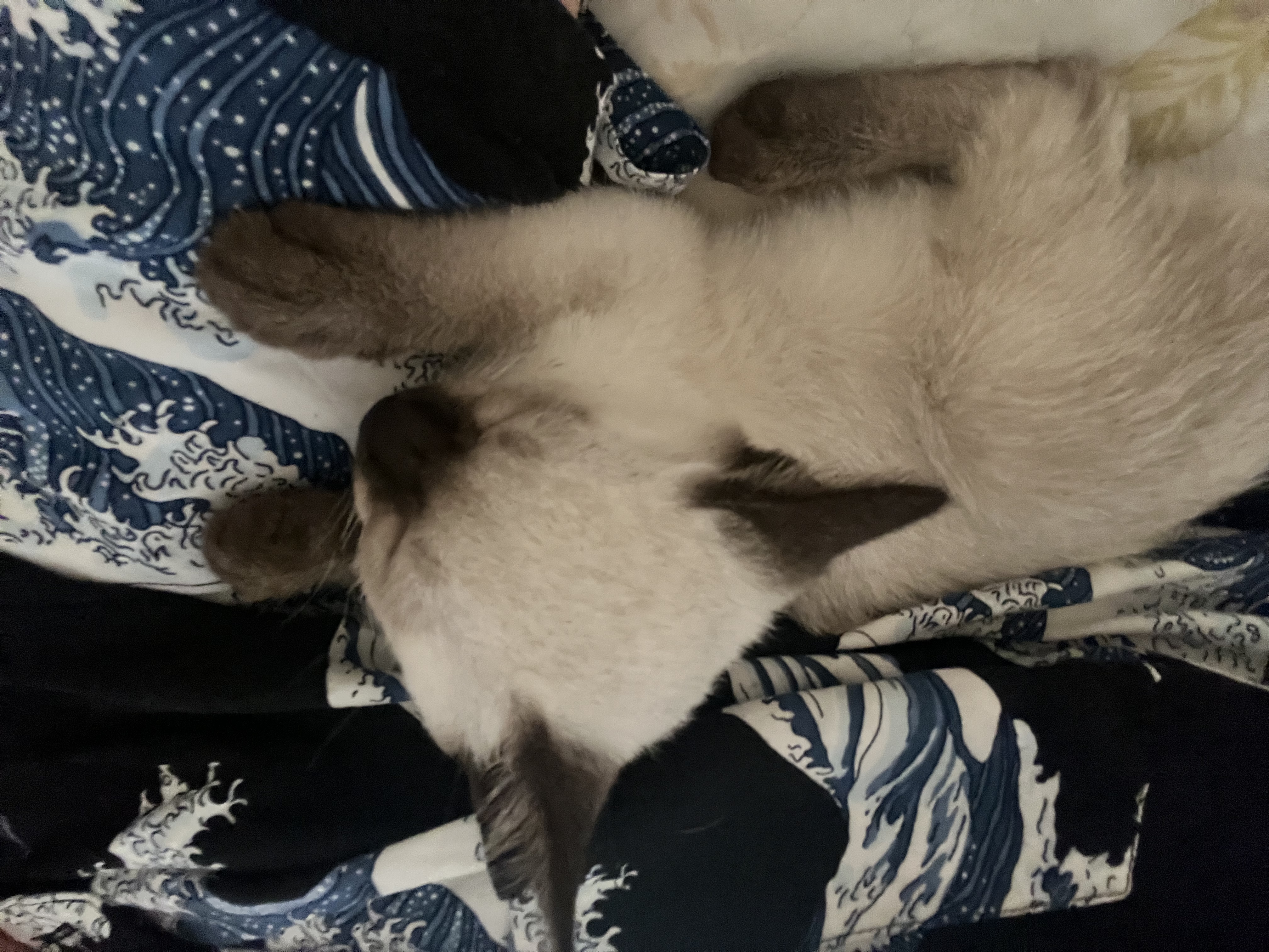 image-8