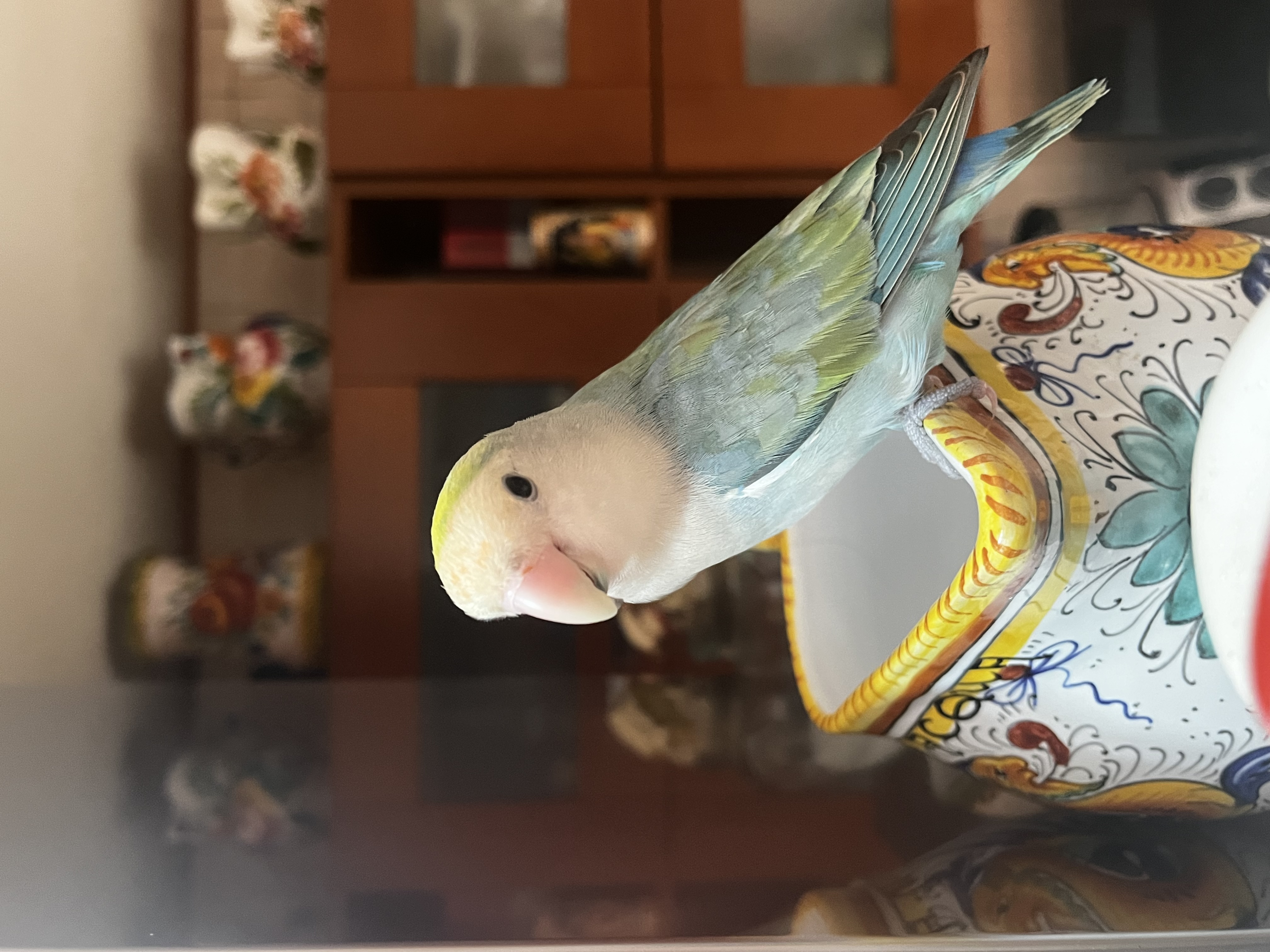 image-15