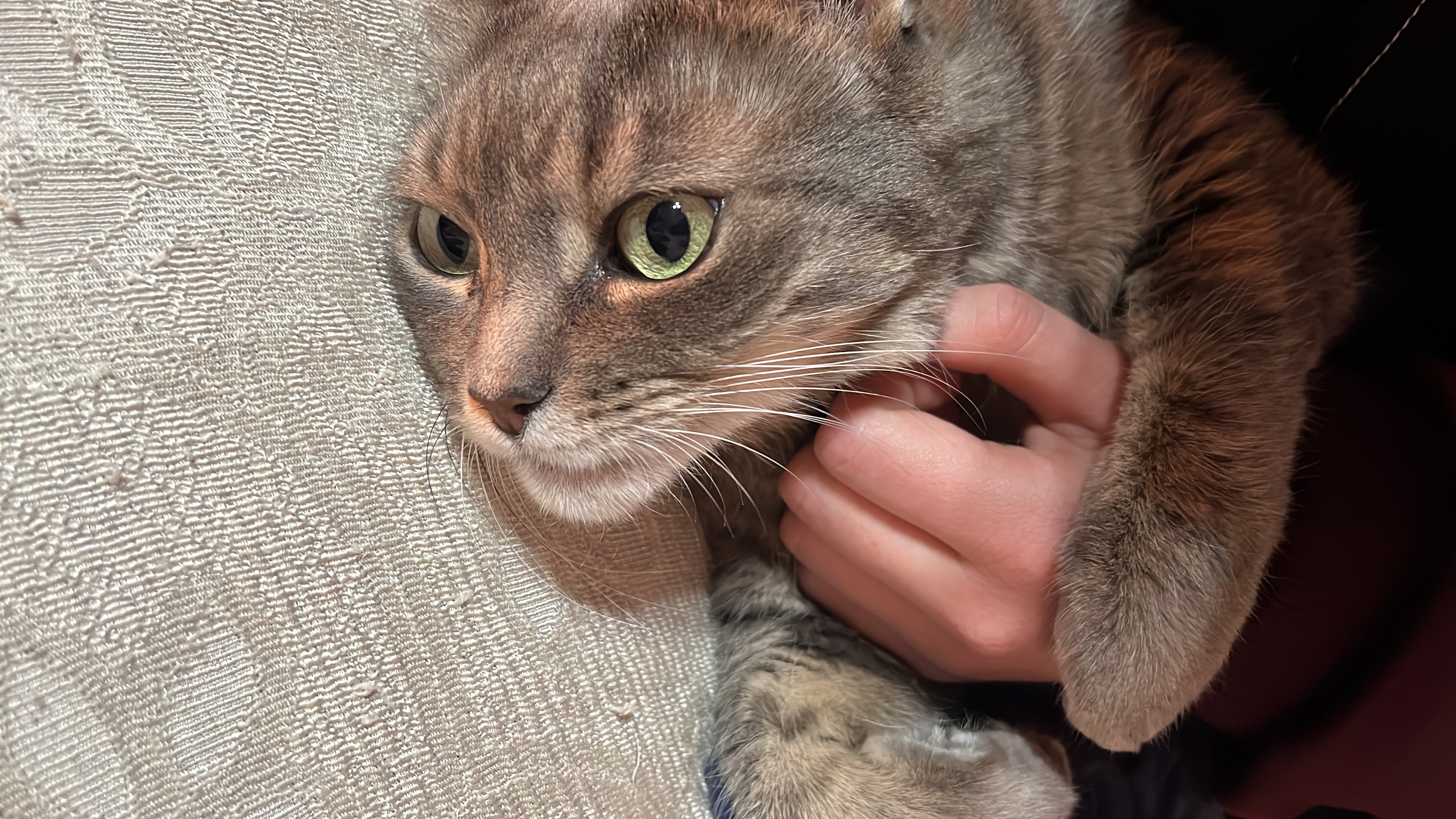 image-6