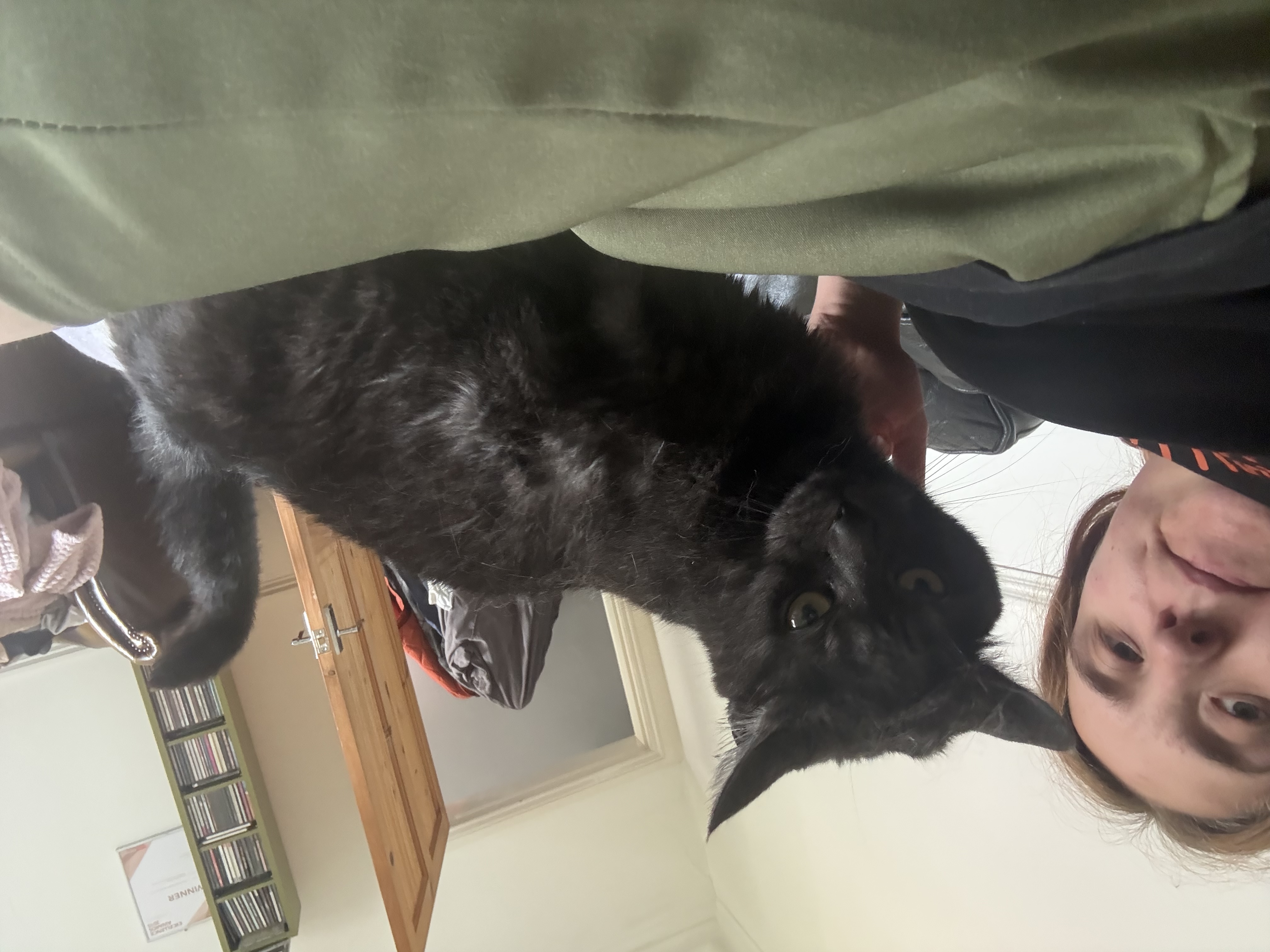 image-8