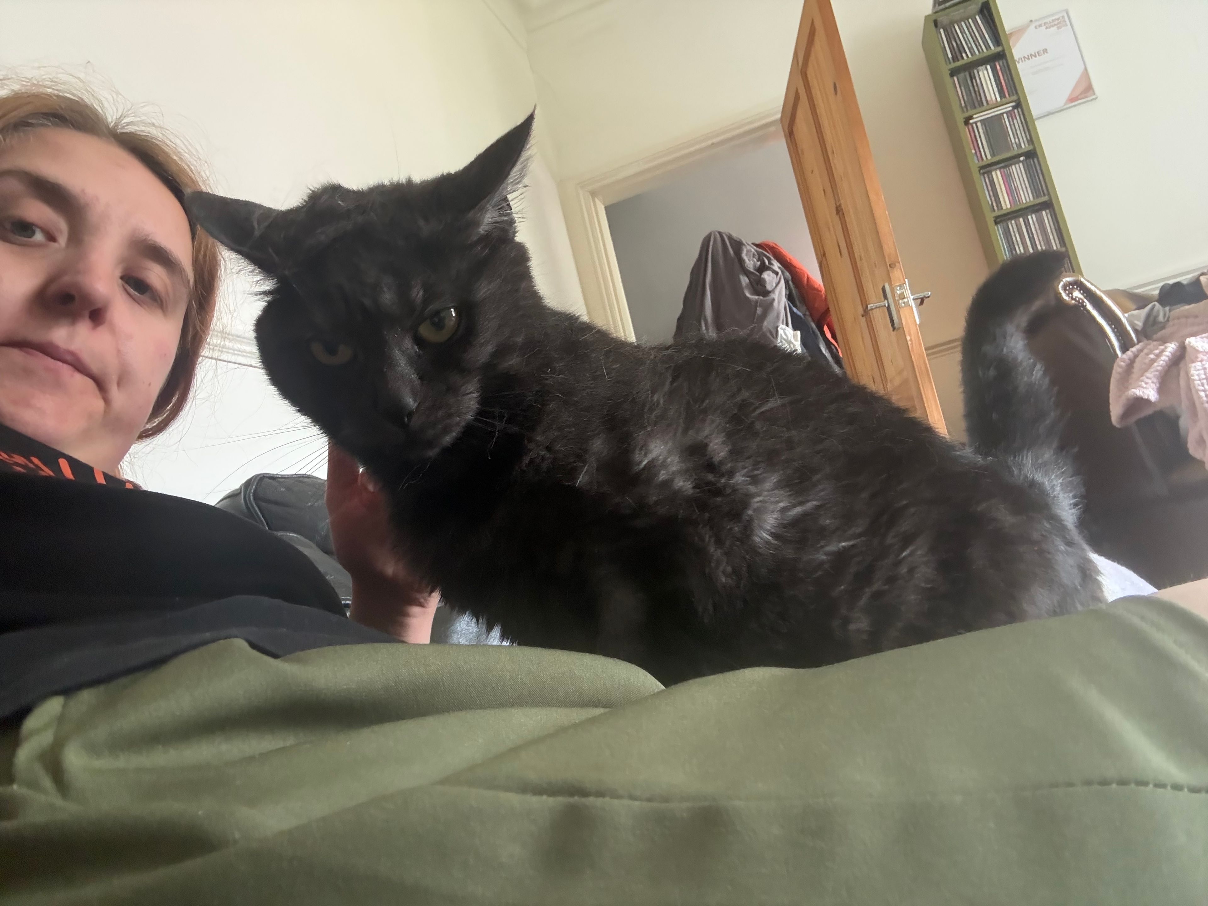 image-8