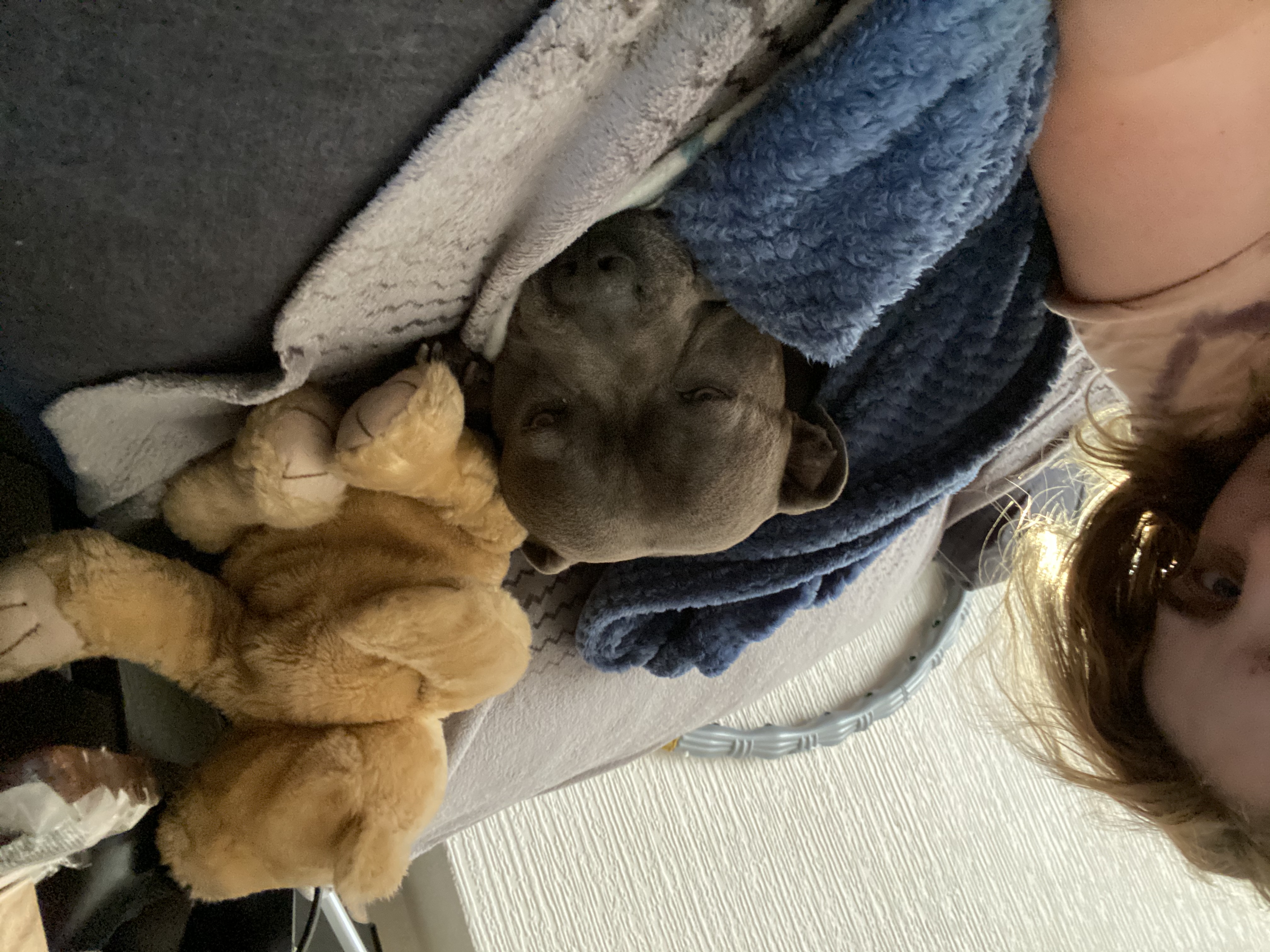 image-4