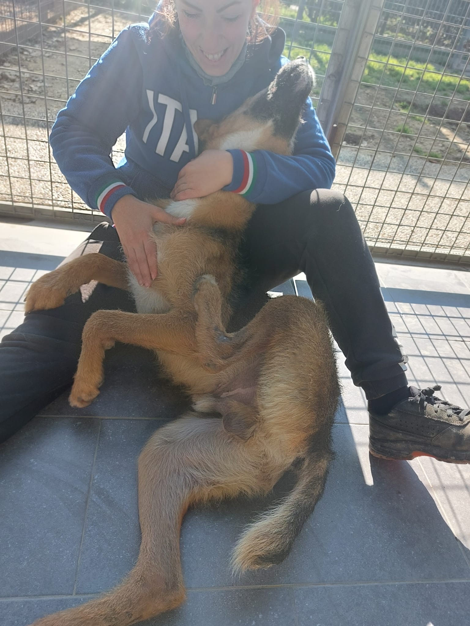 image-6