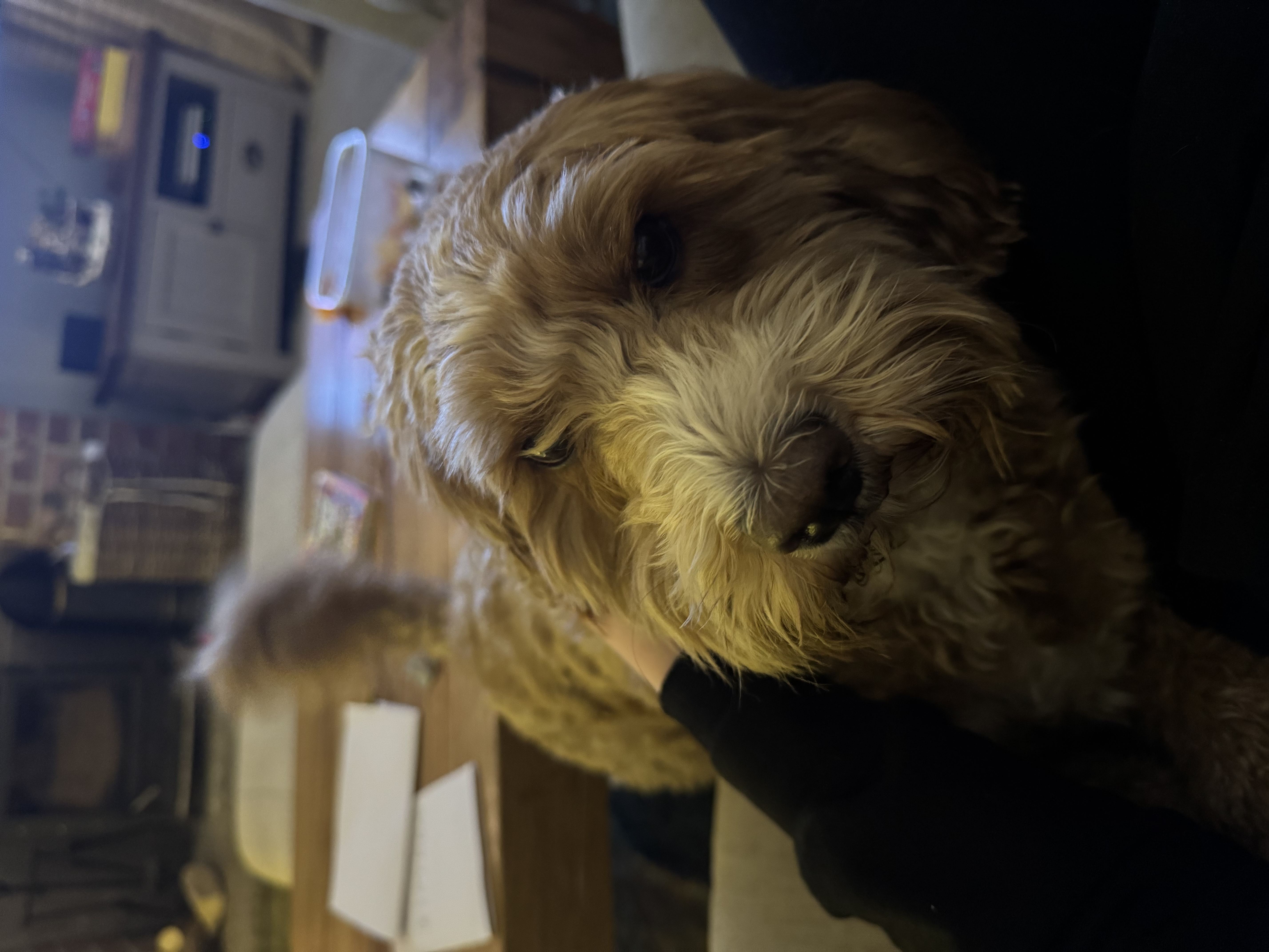image-8
