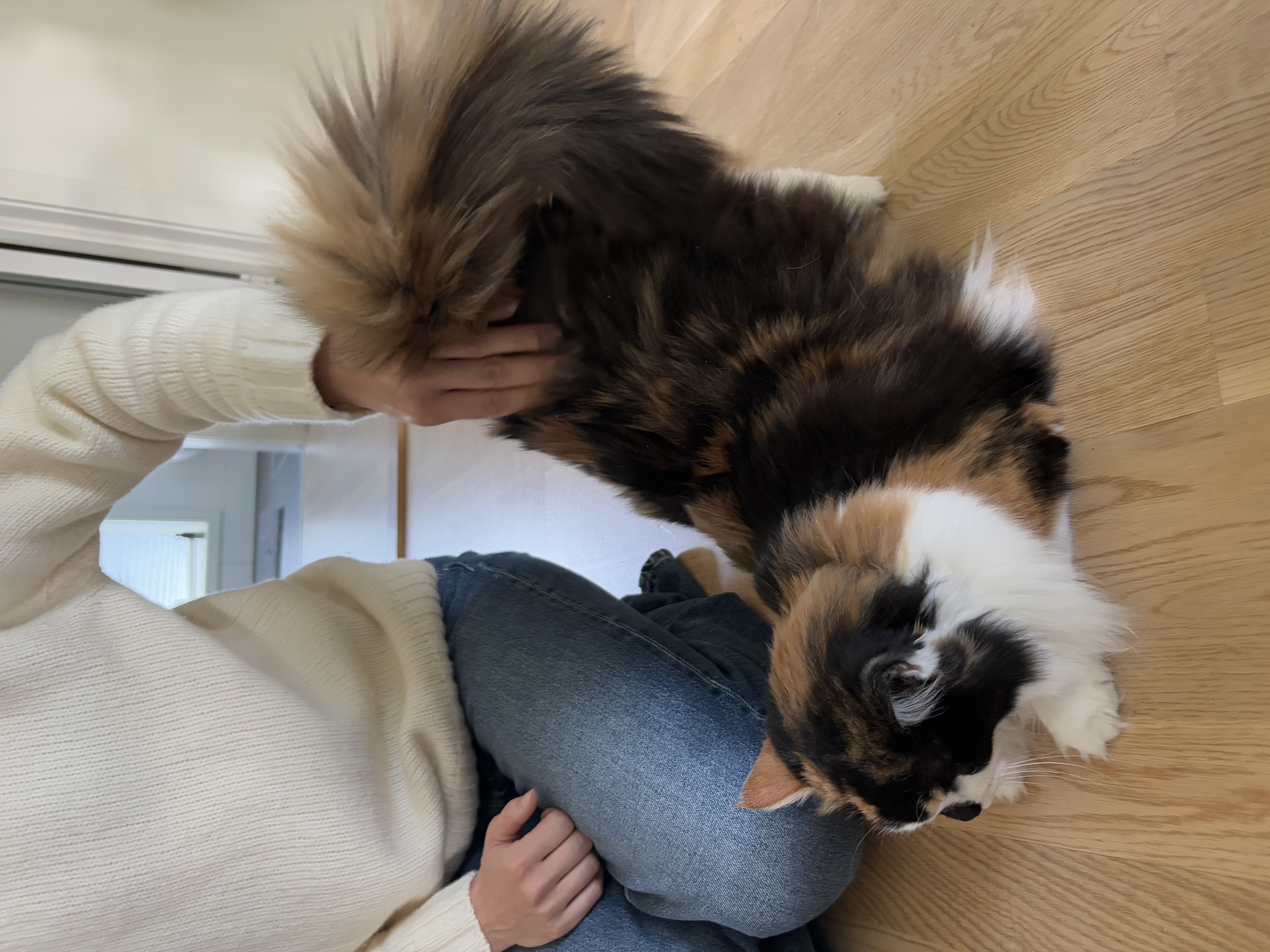 image-15