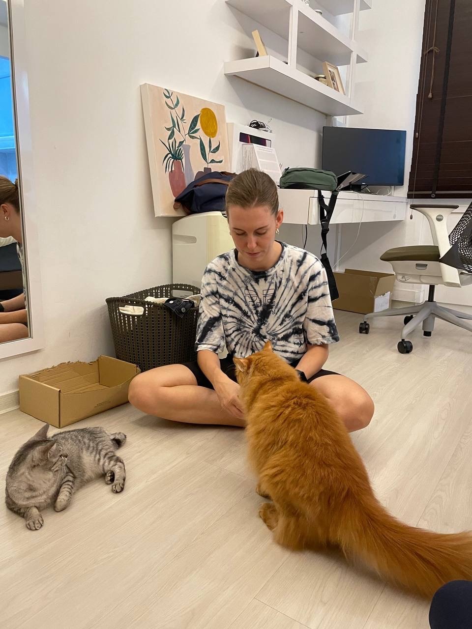 image-13