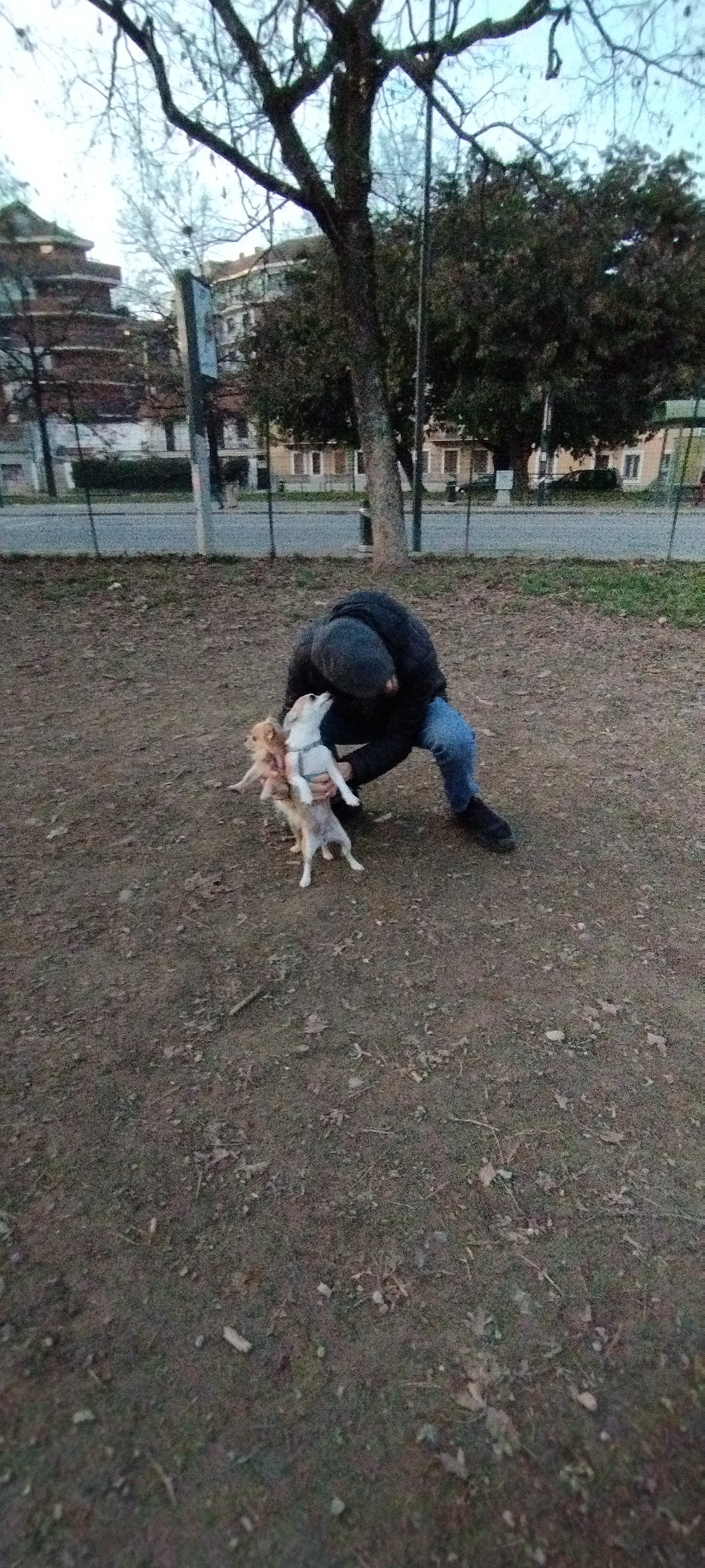 image-3