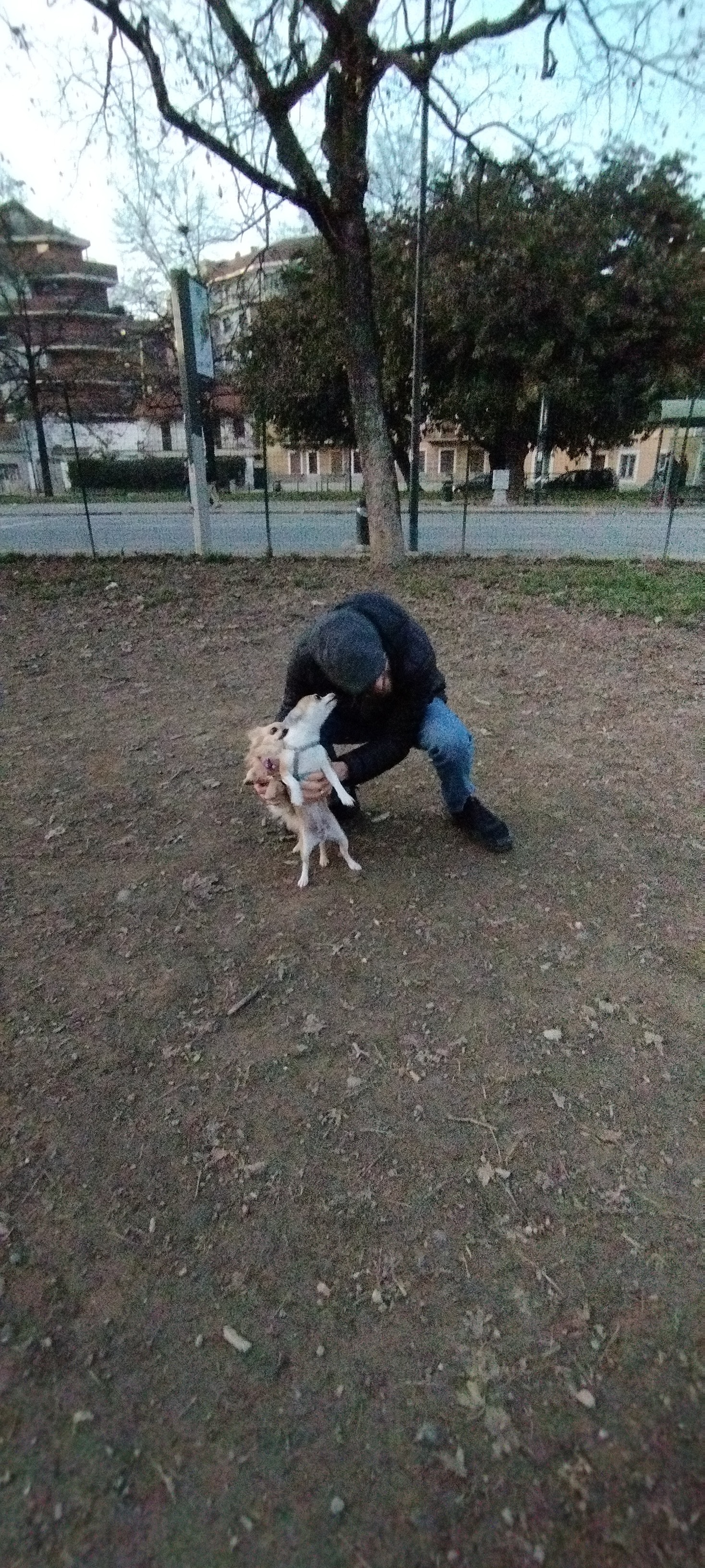image-1