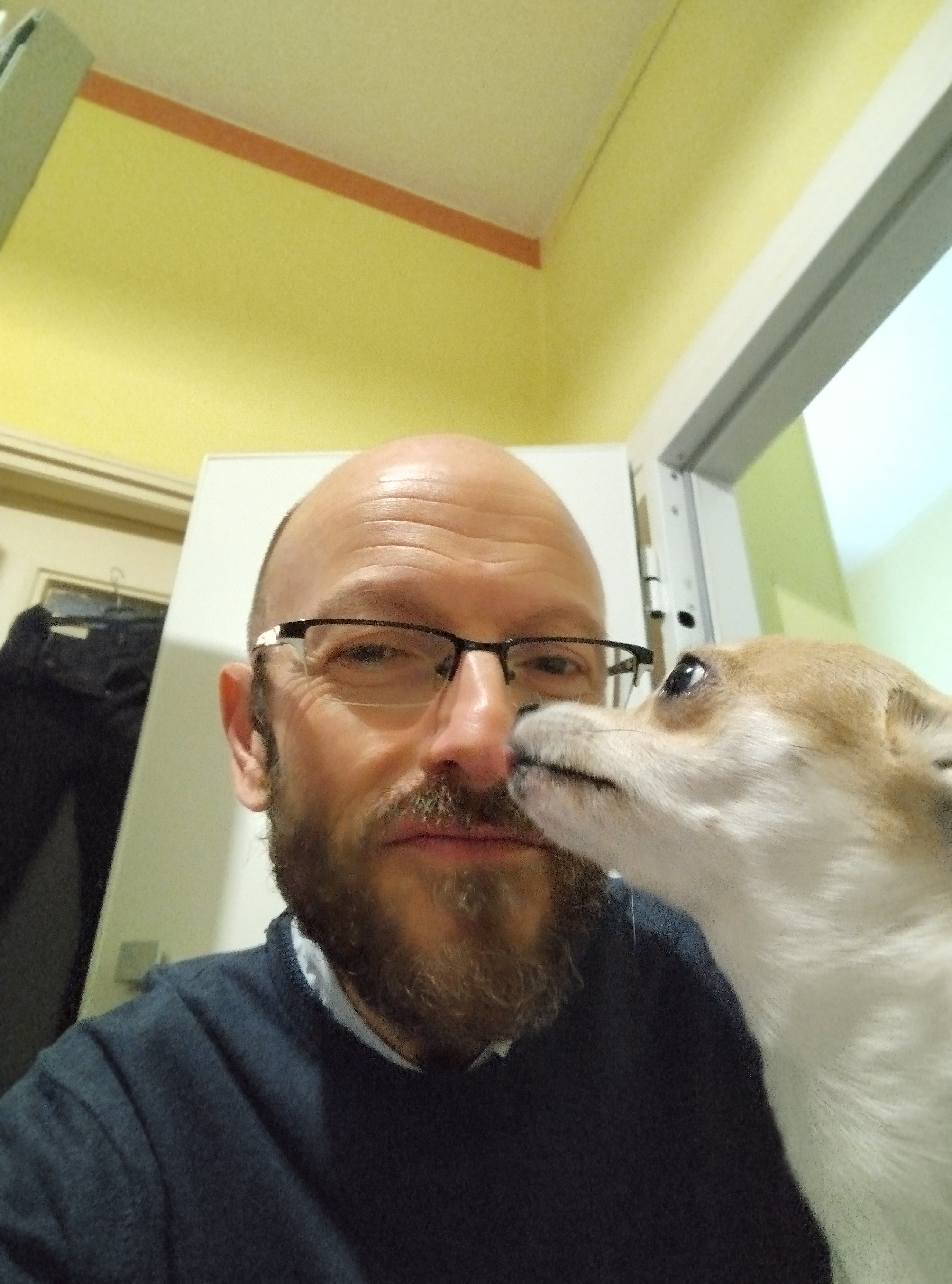 image-6