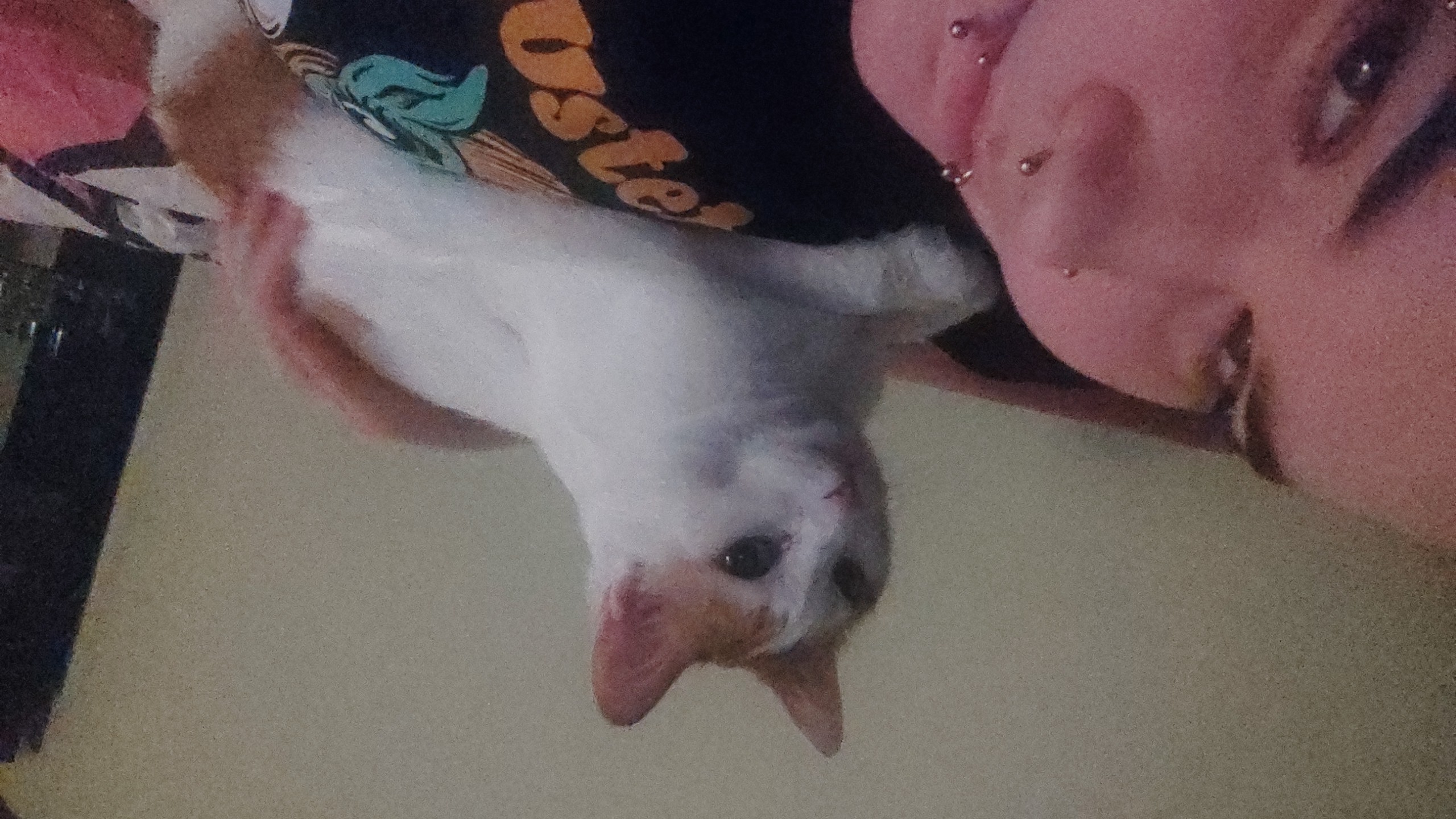 image-6