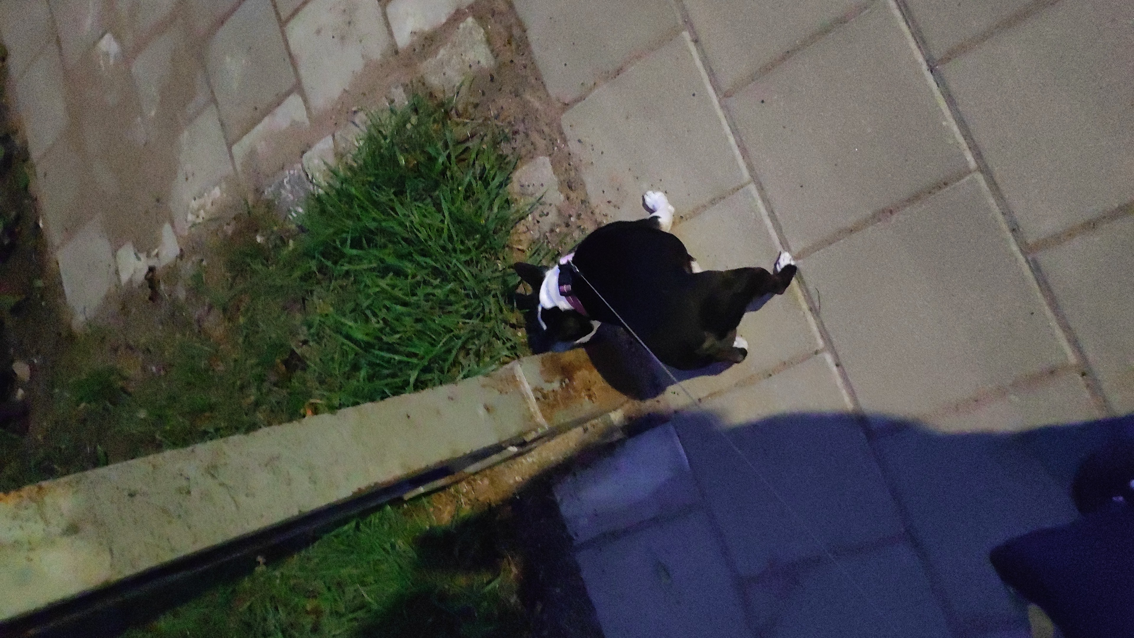 image-2