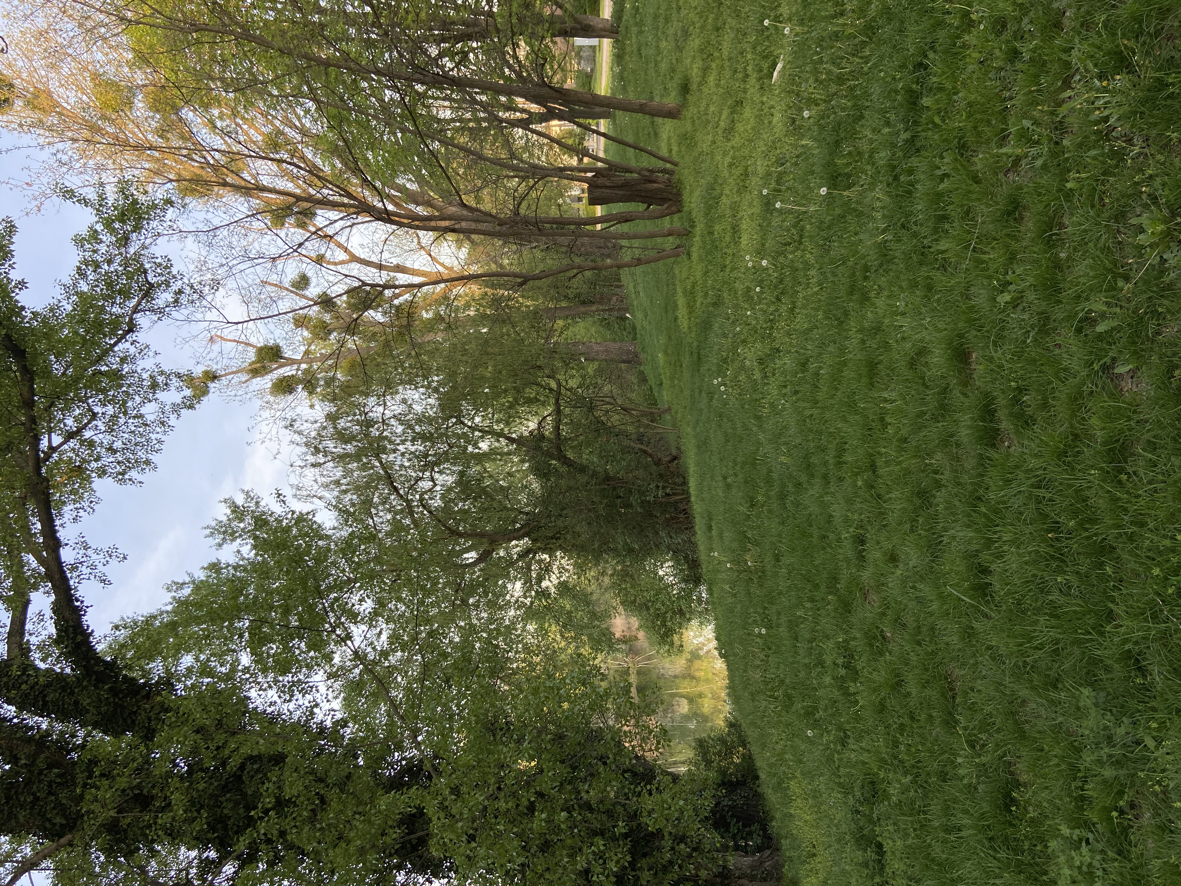 image-21