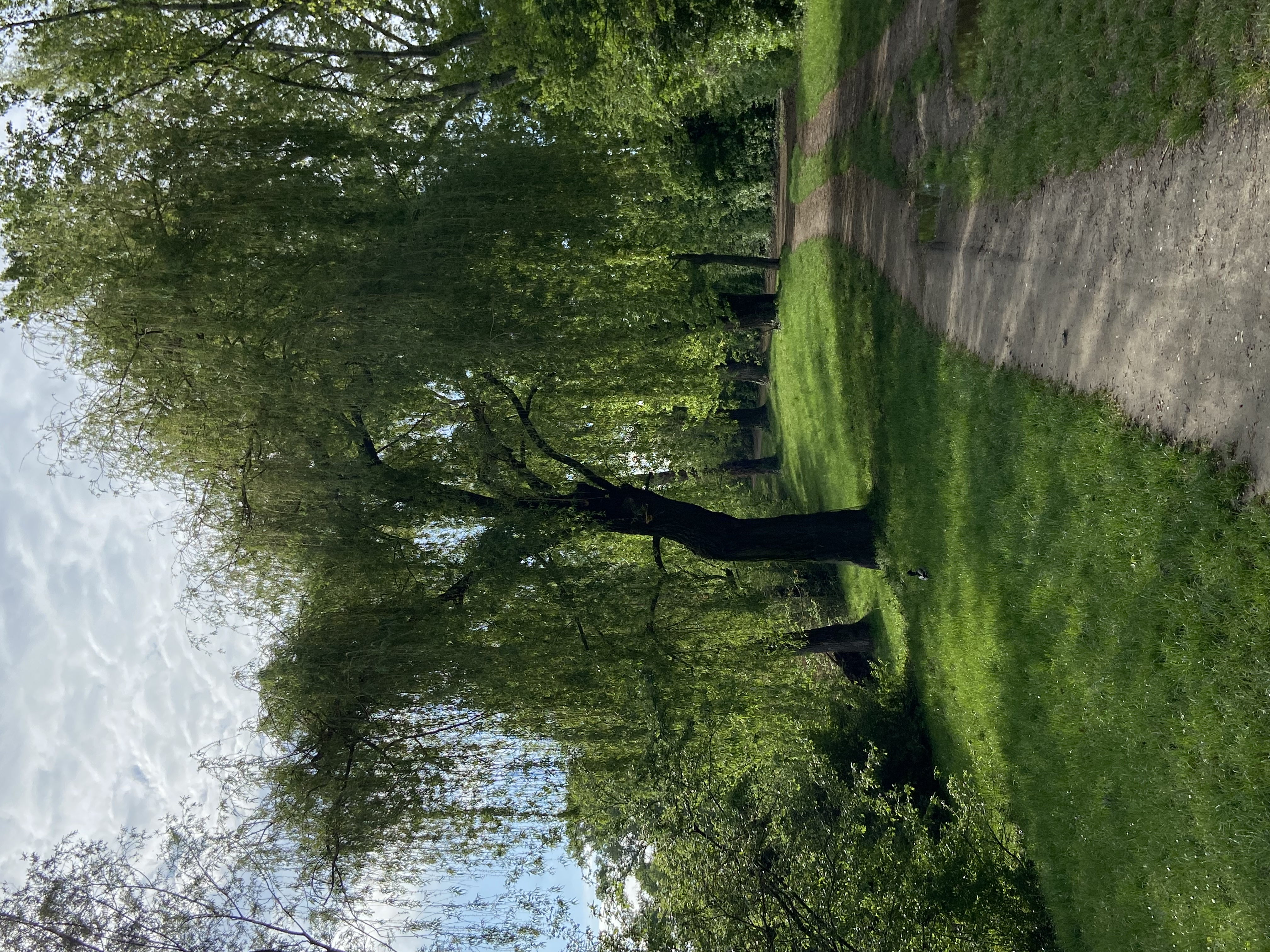 image-19