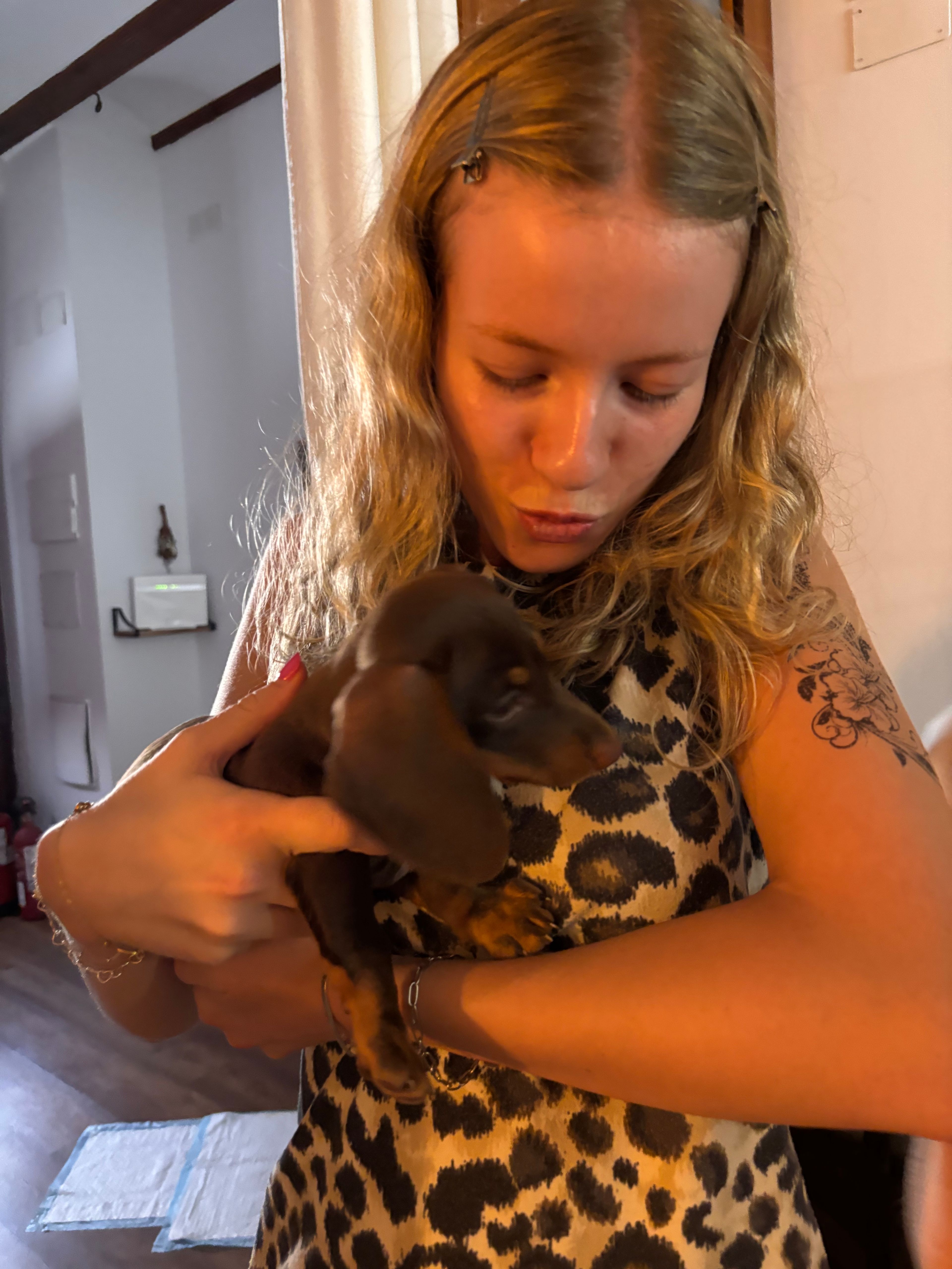 image-1