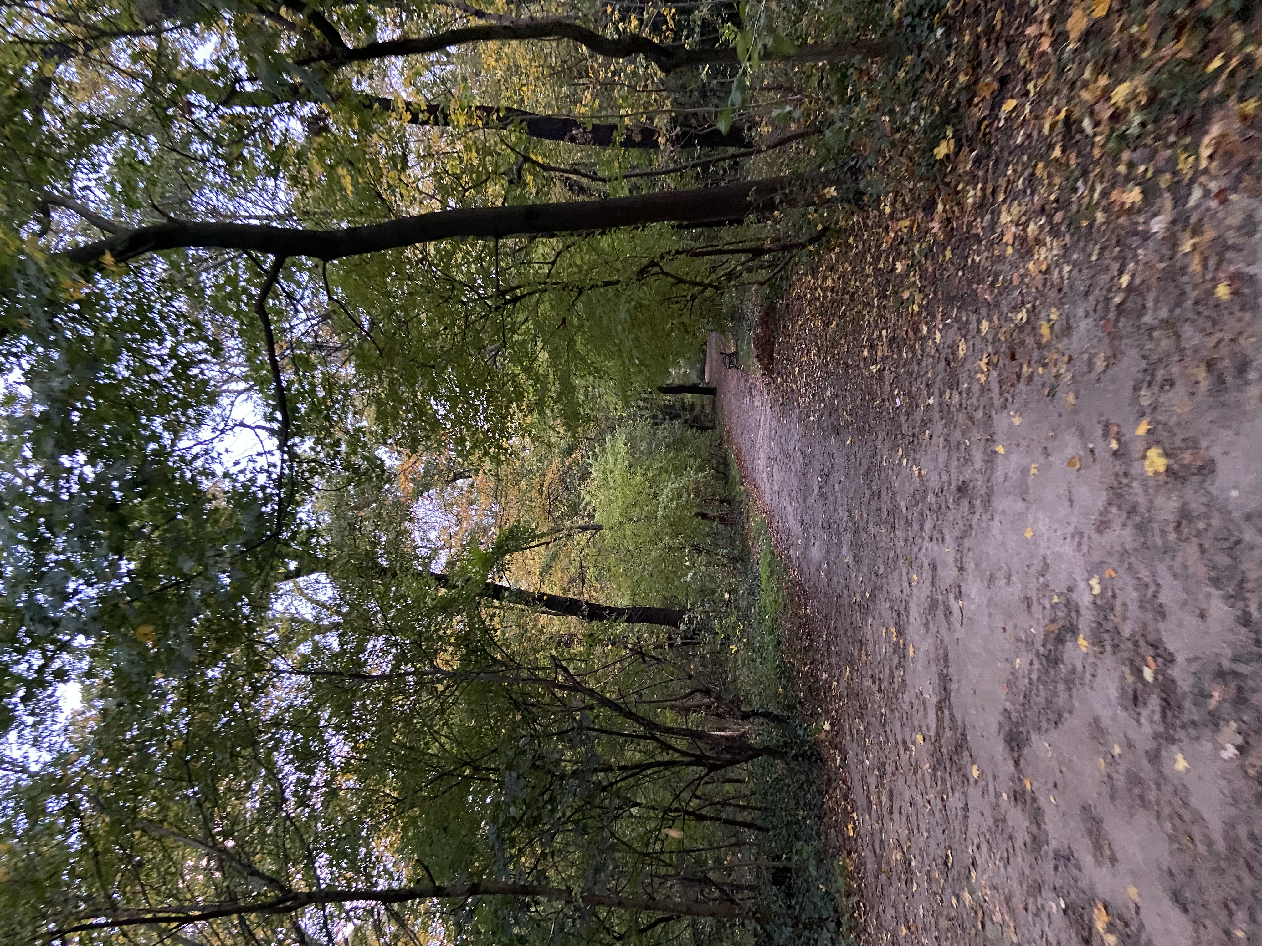 image-20