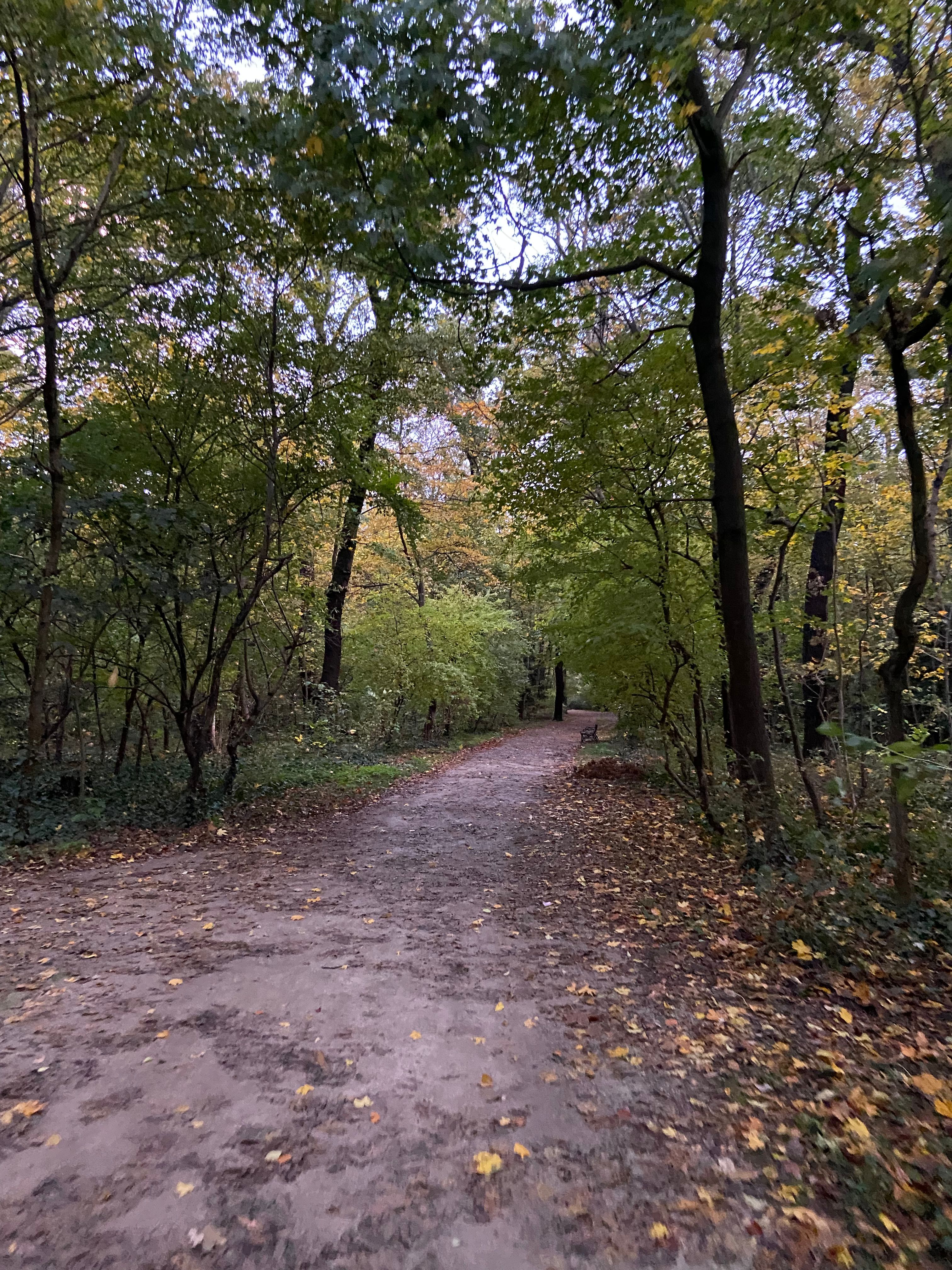 image-20