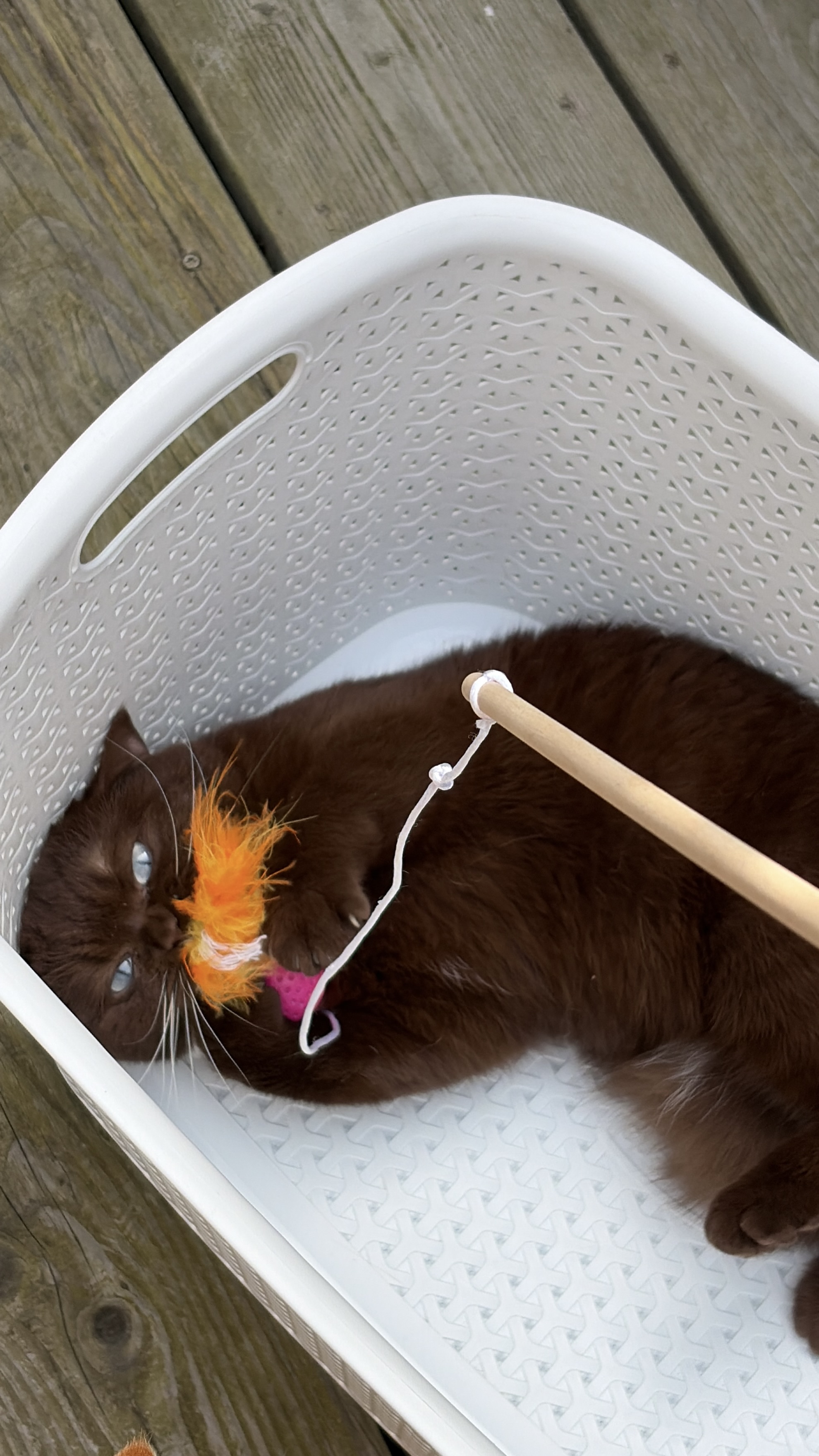 image-4