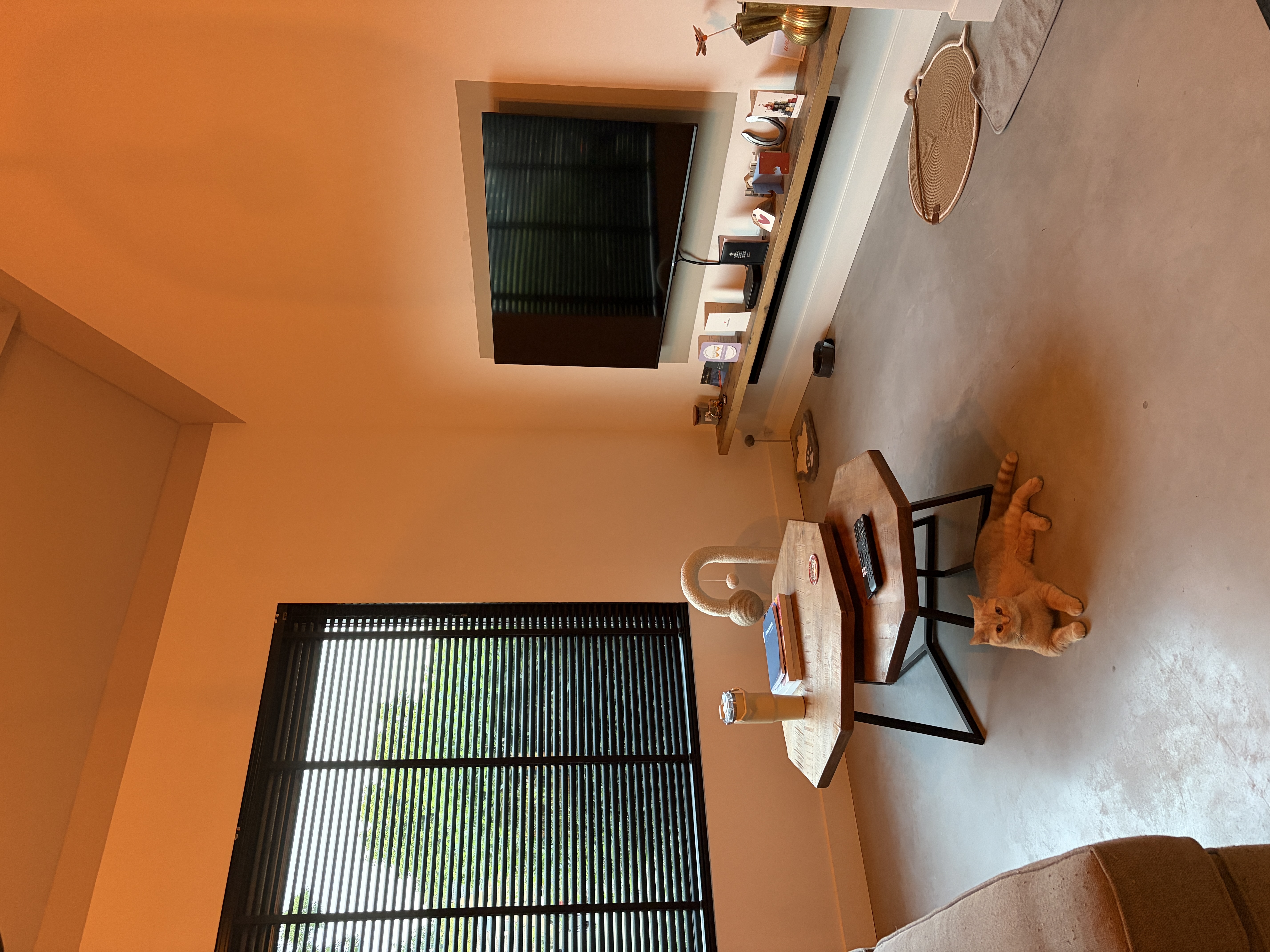 image-14