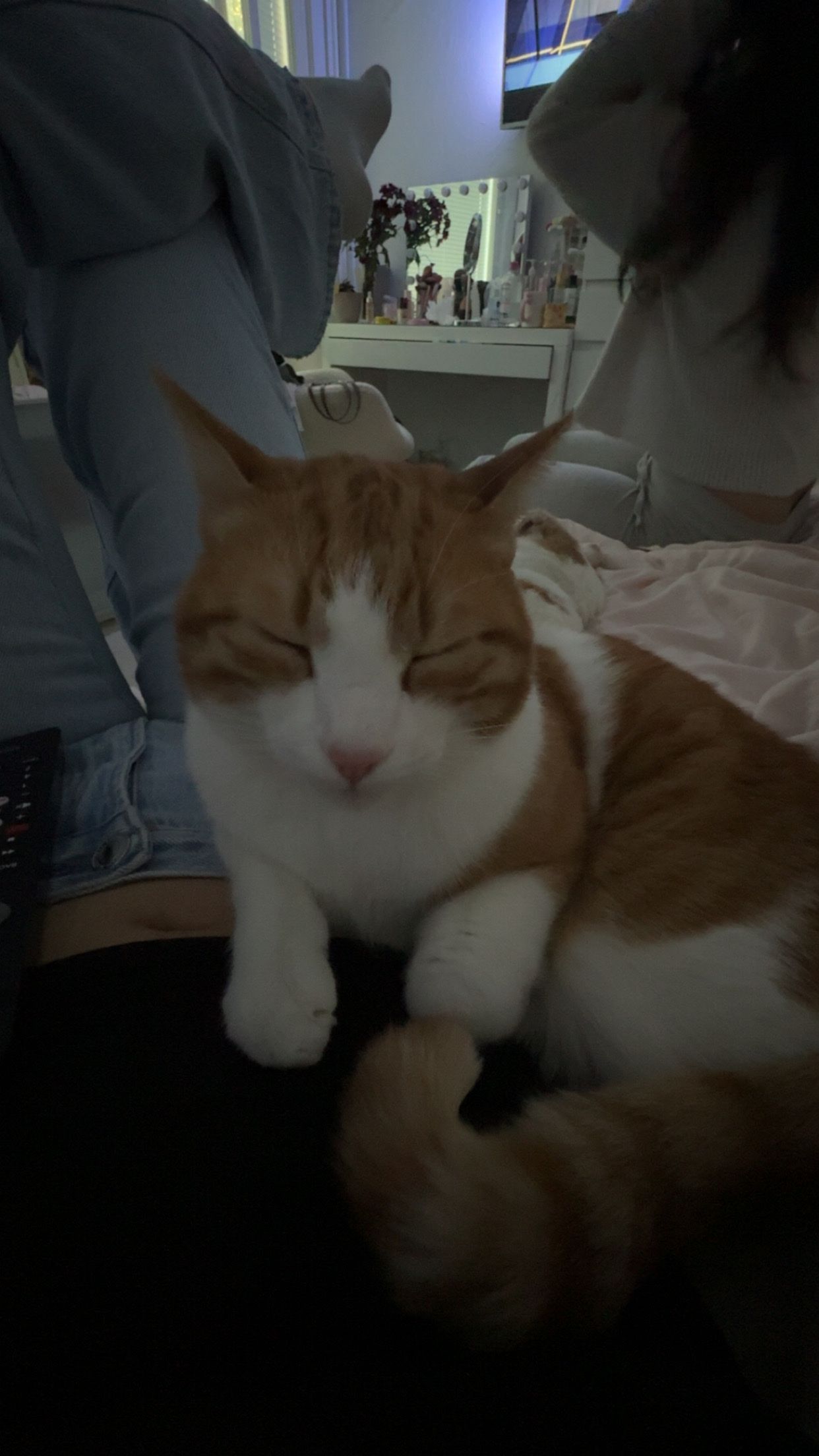image-5