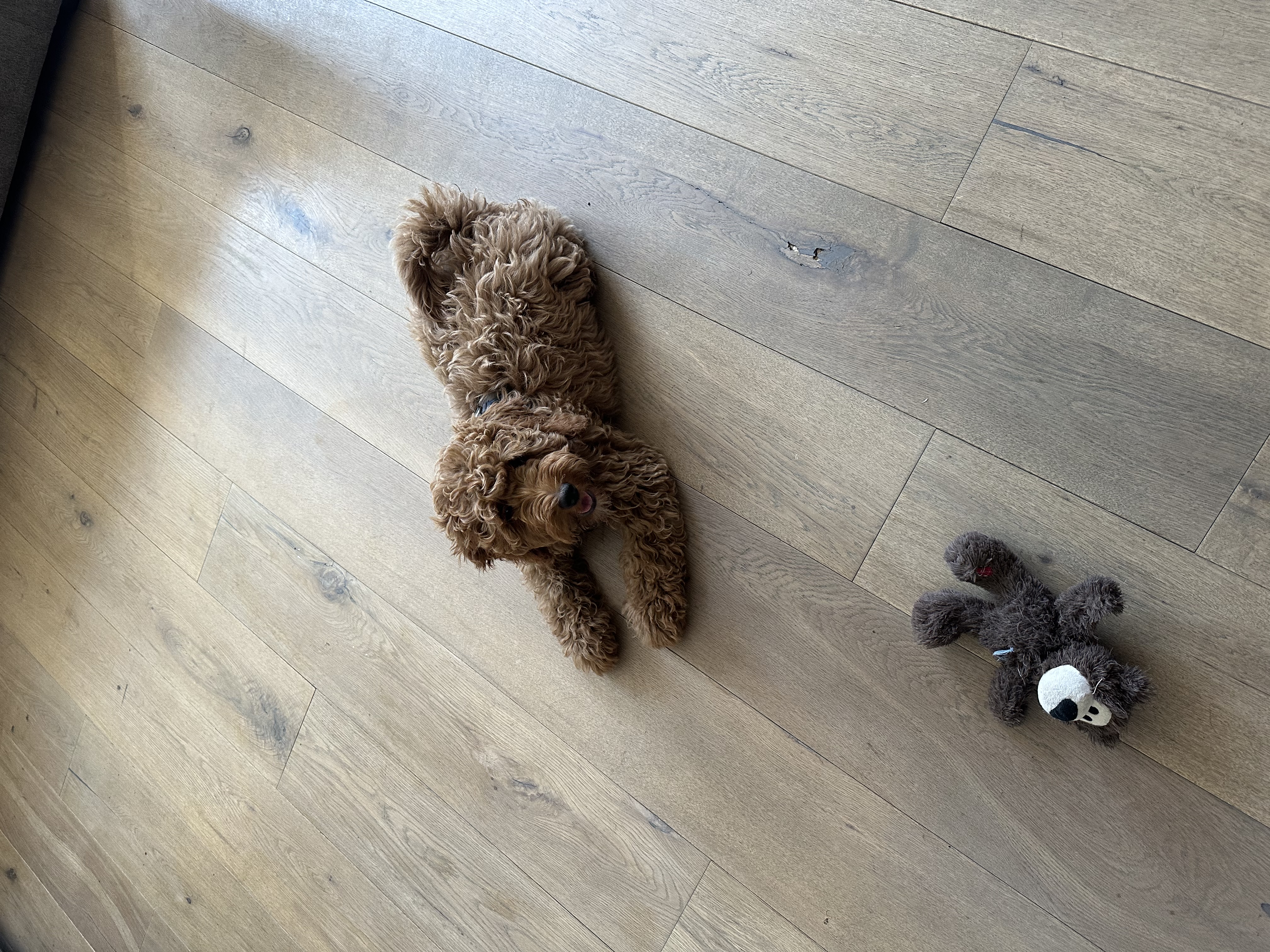 image-9