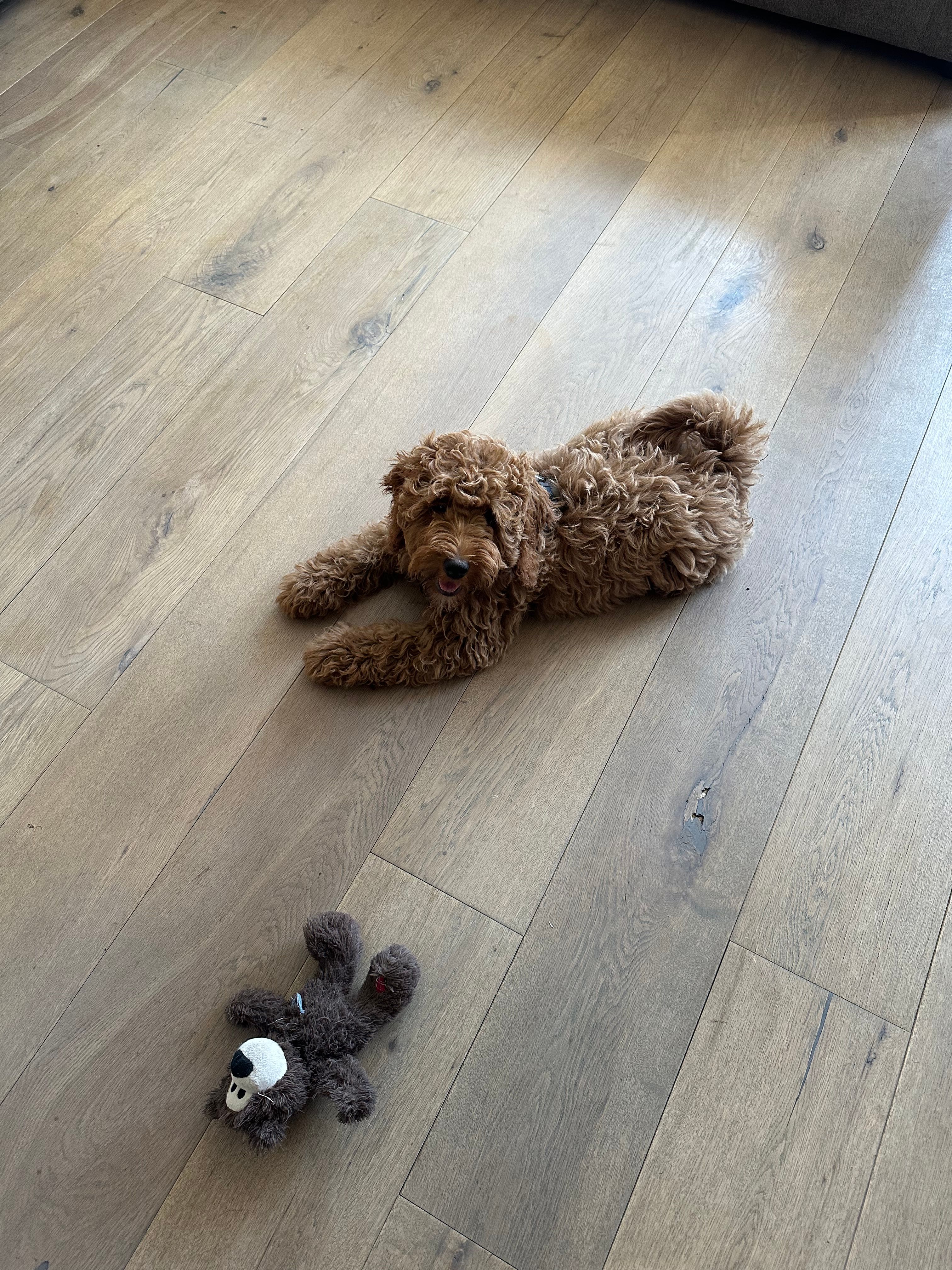 image-9