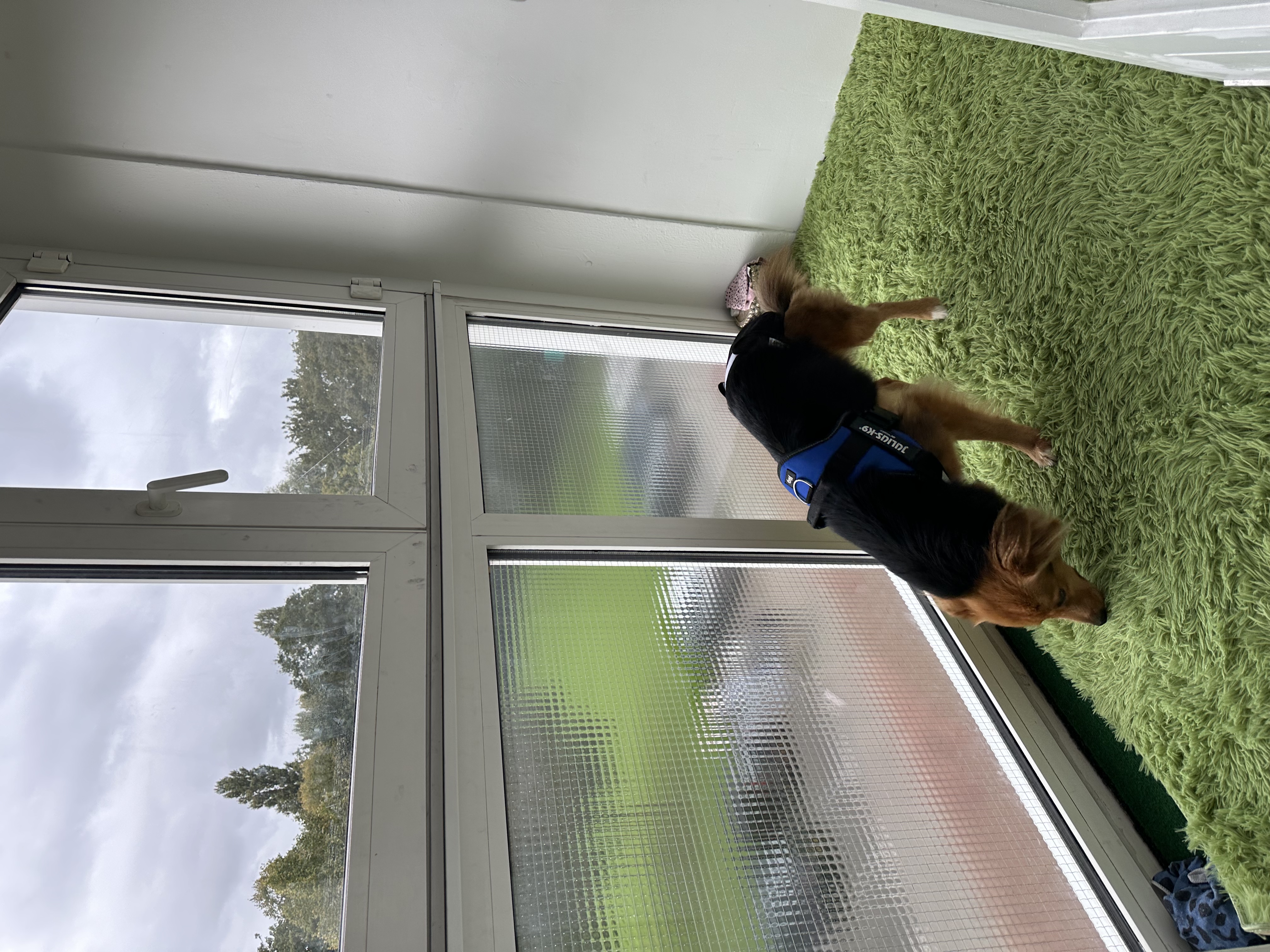 image-13