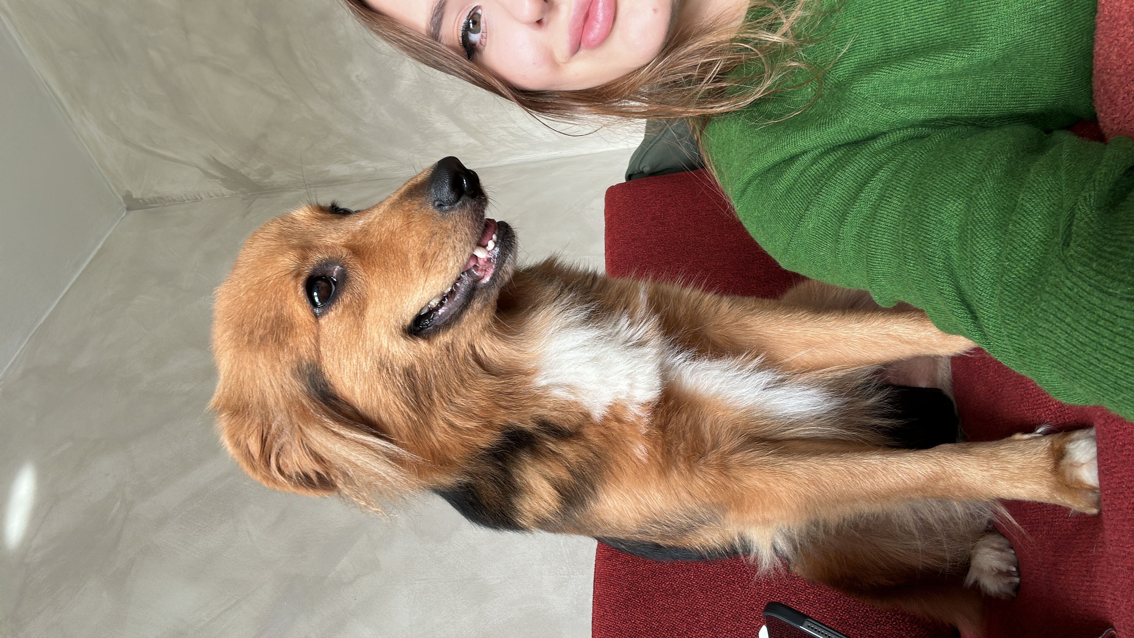 image-8
