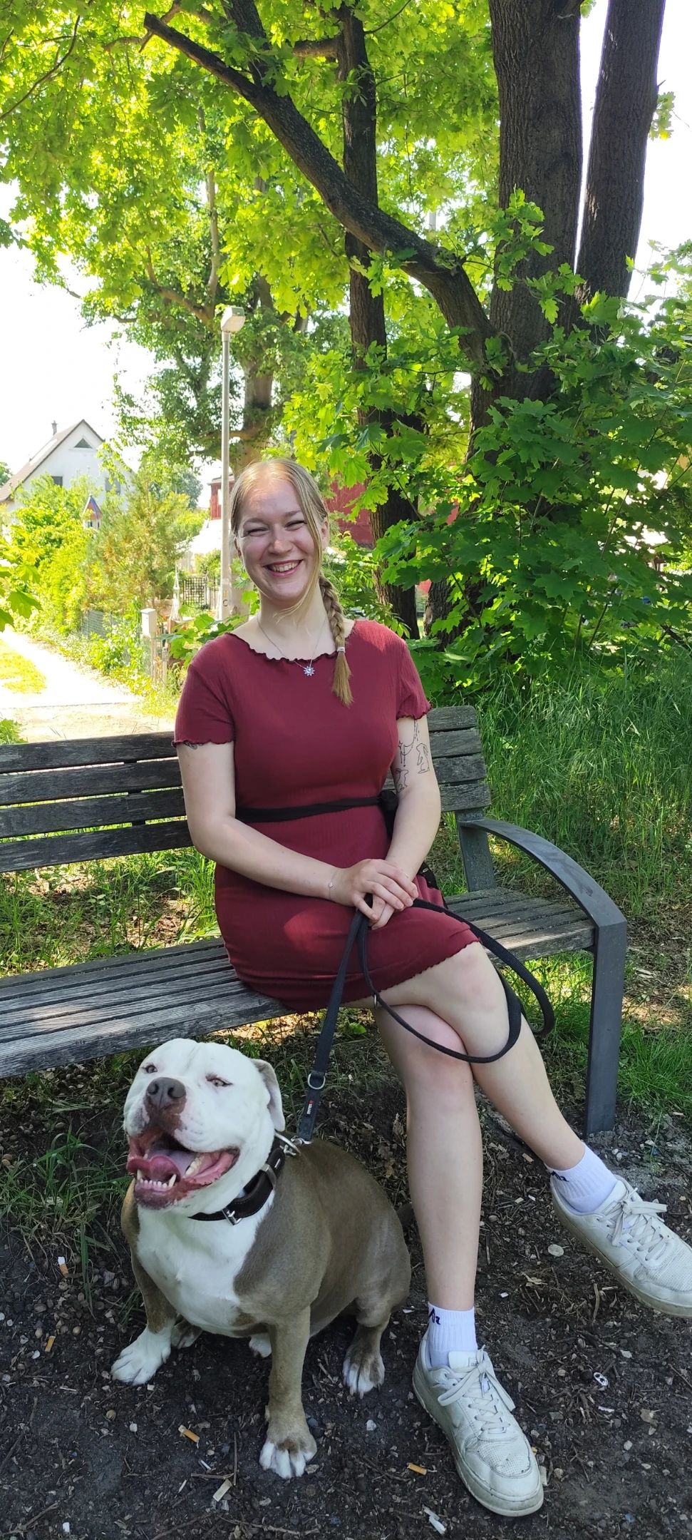 image-2