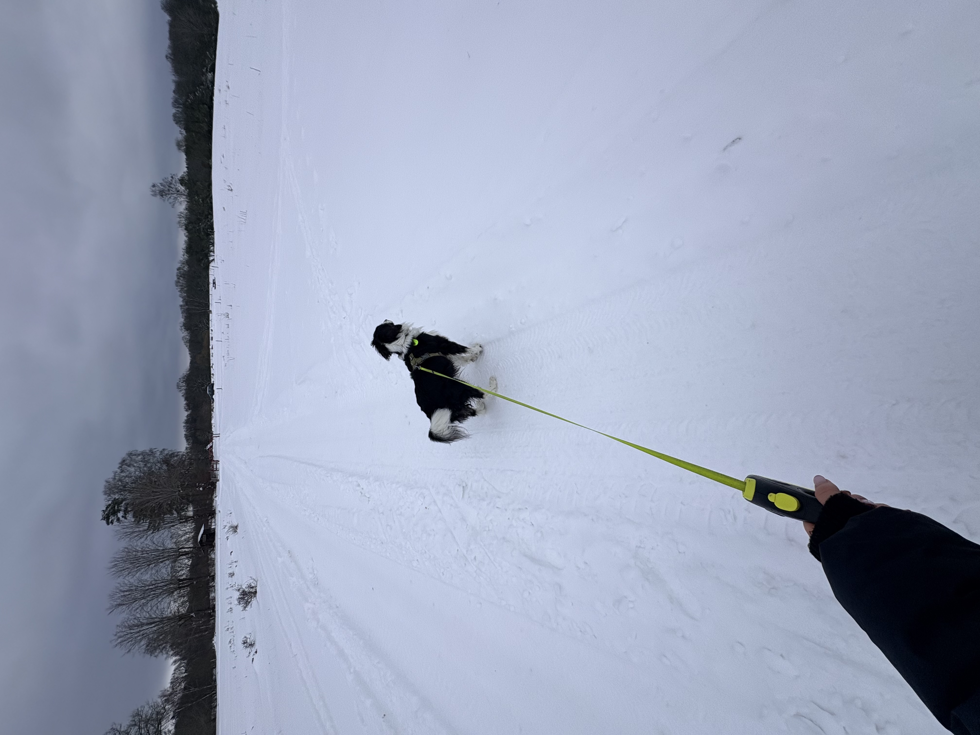 image-9
