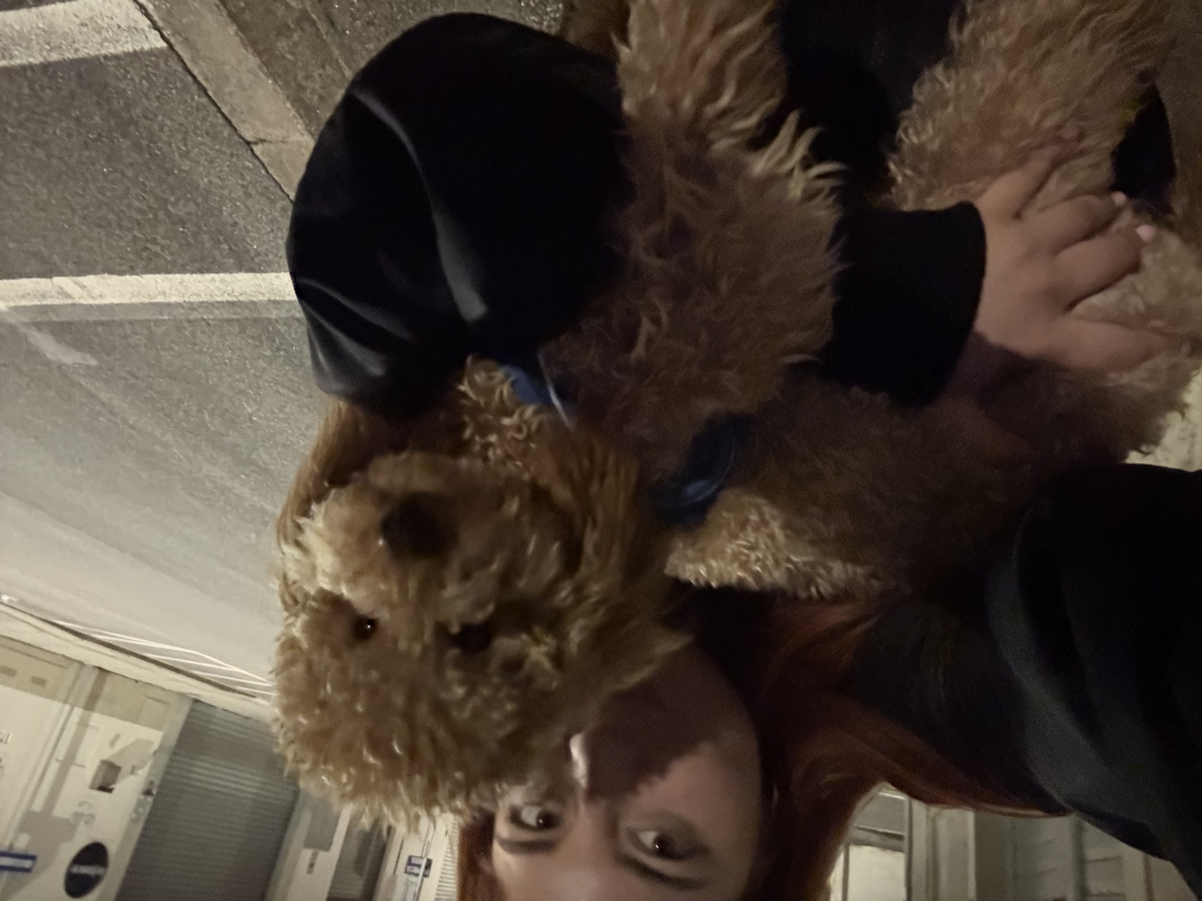 image-5