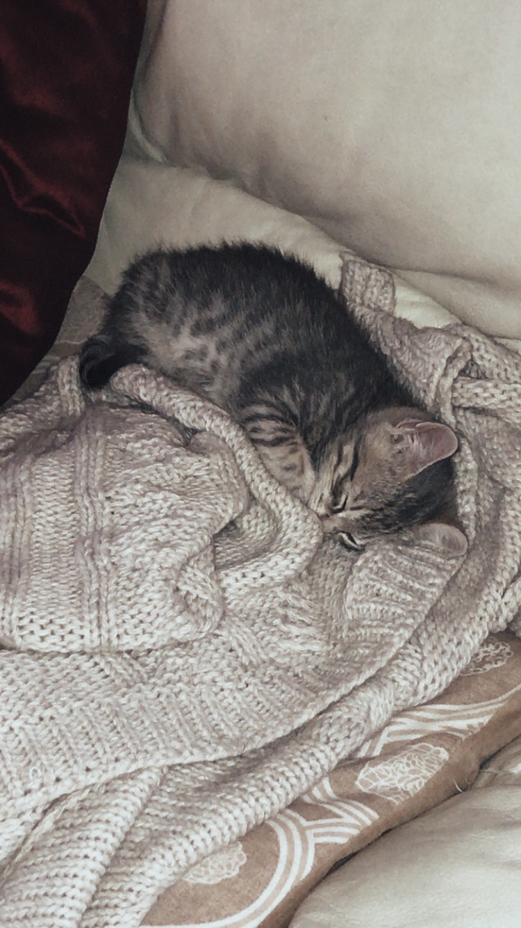 image-6