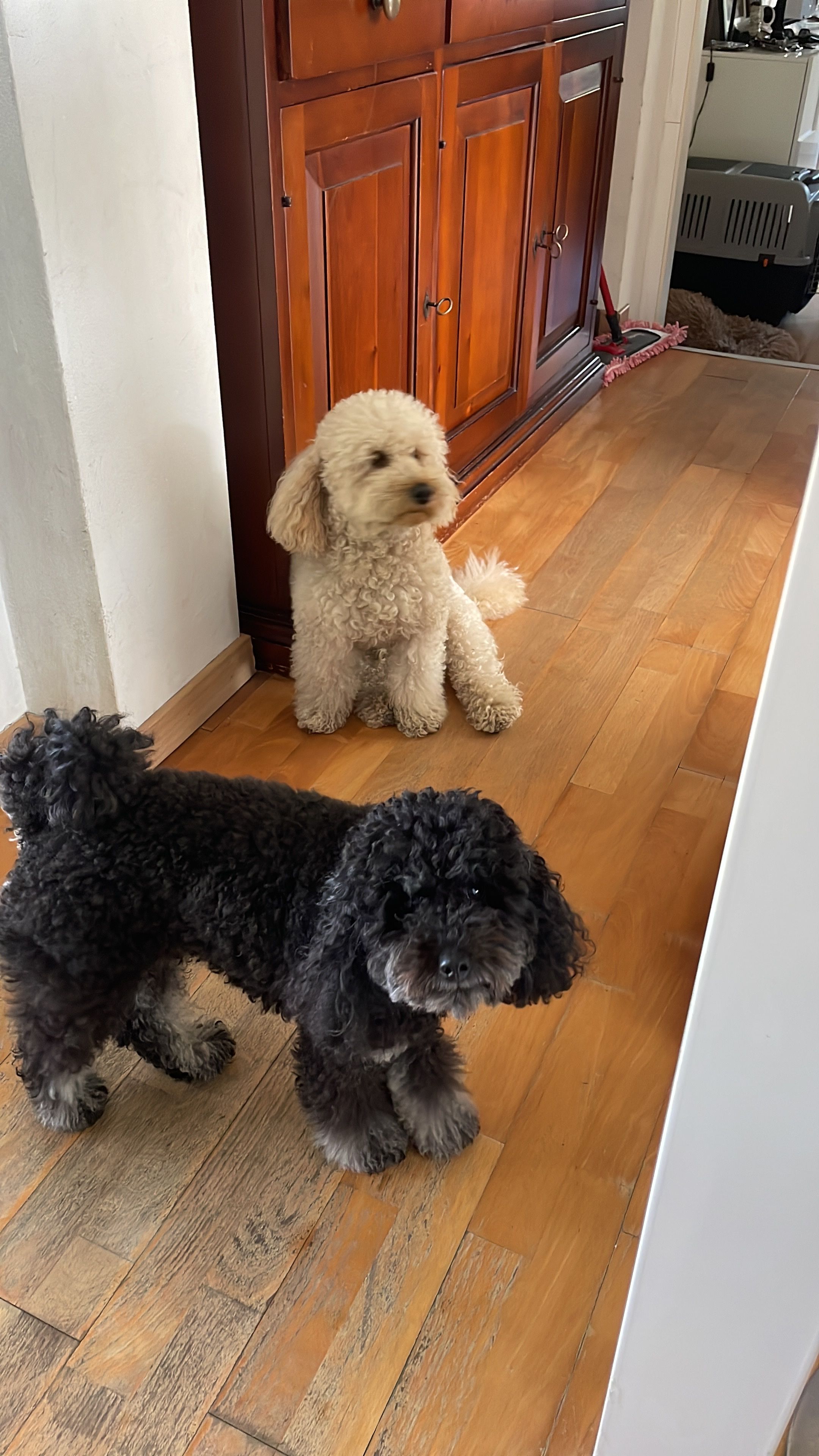 image-18