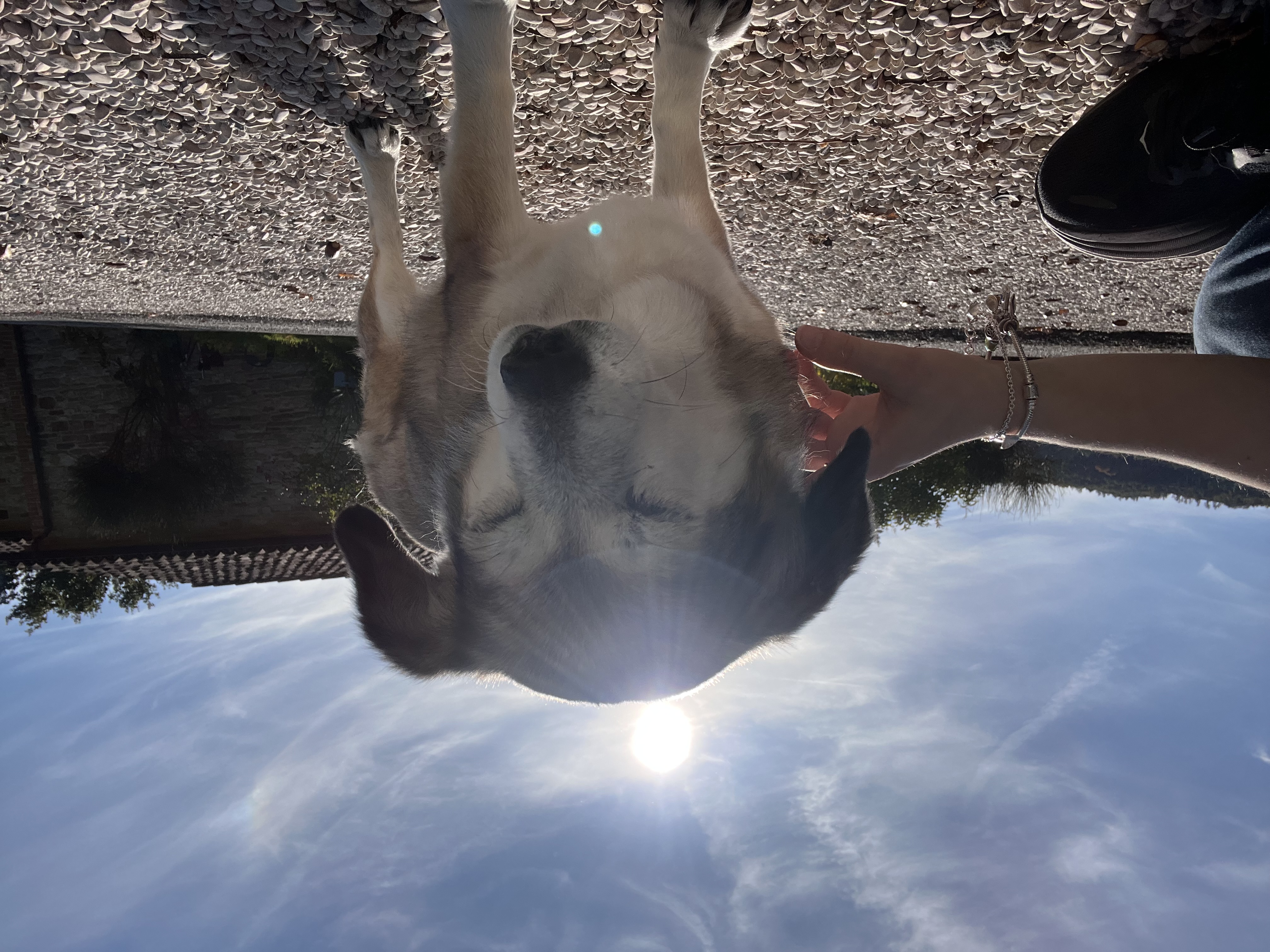 image-7
