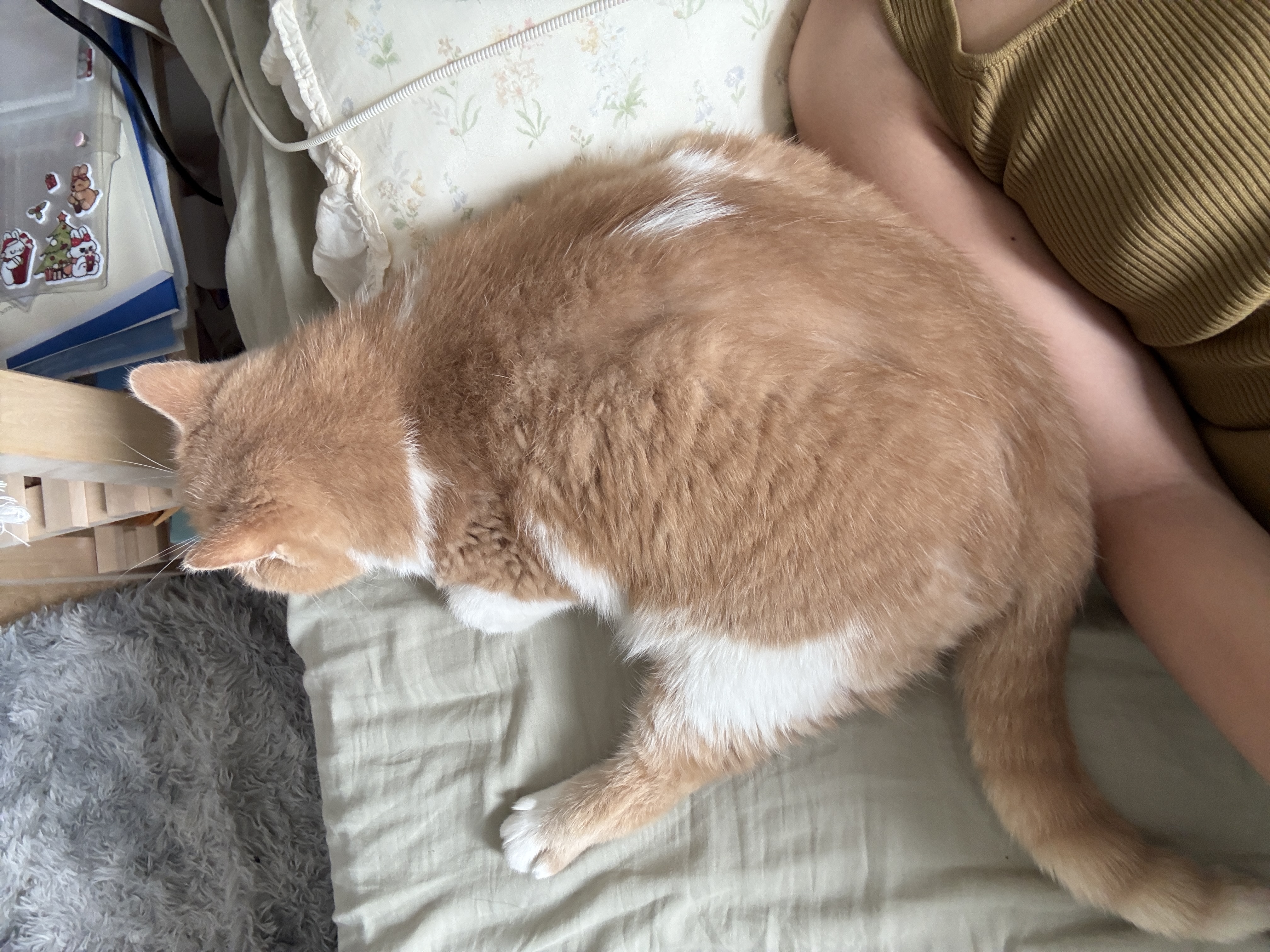 image-5