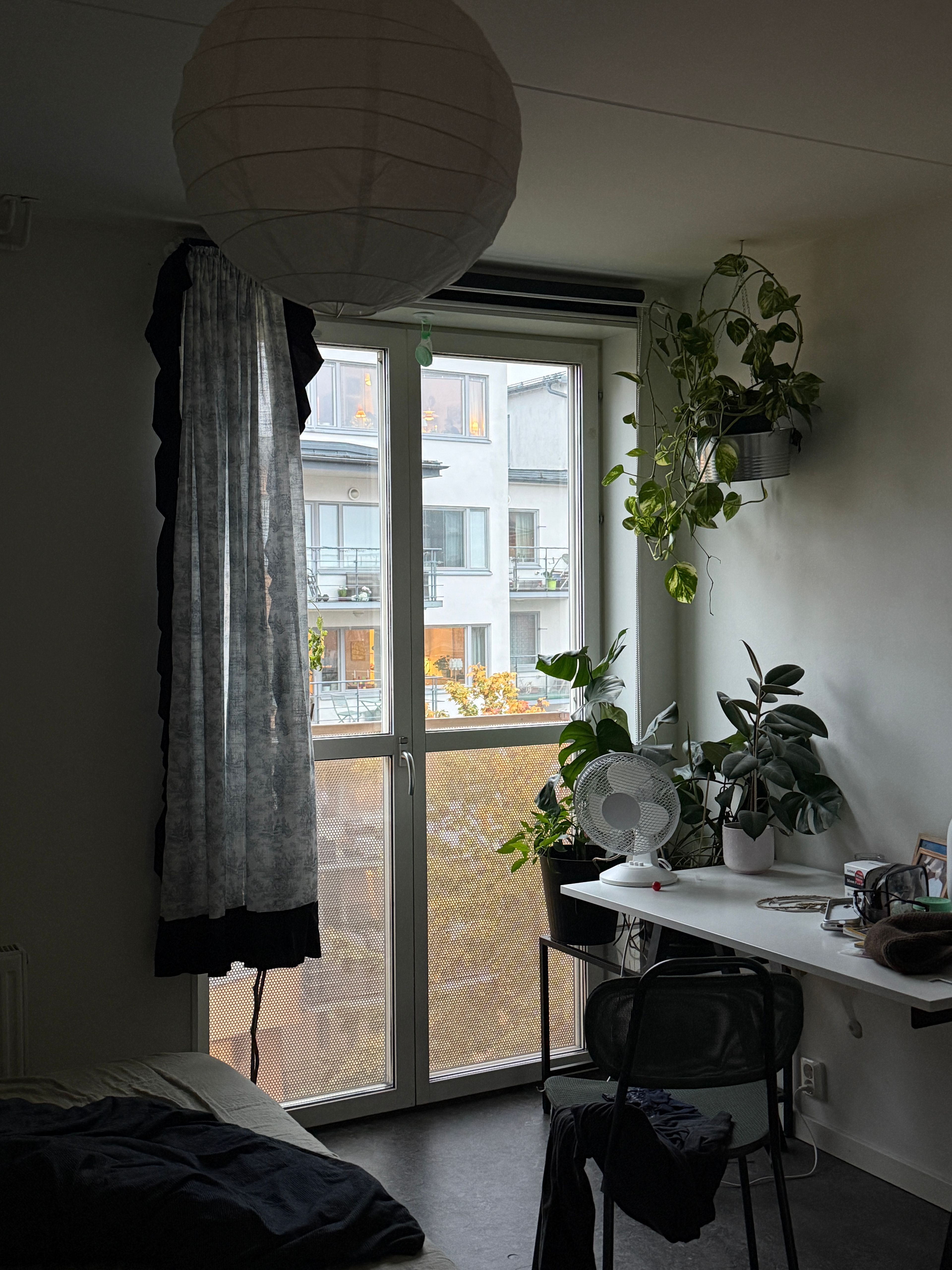 image-20