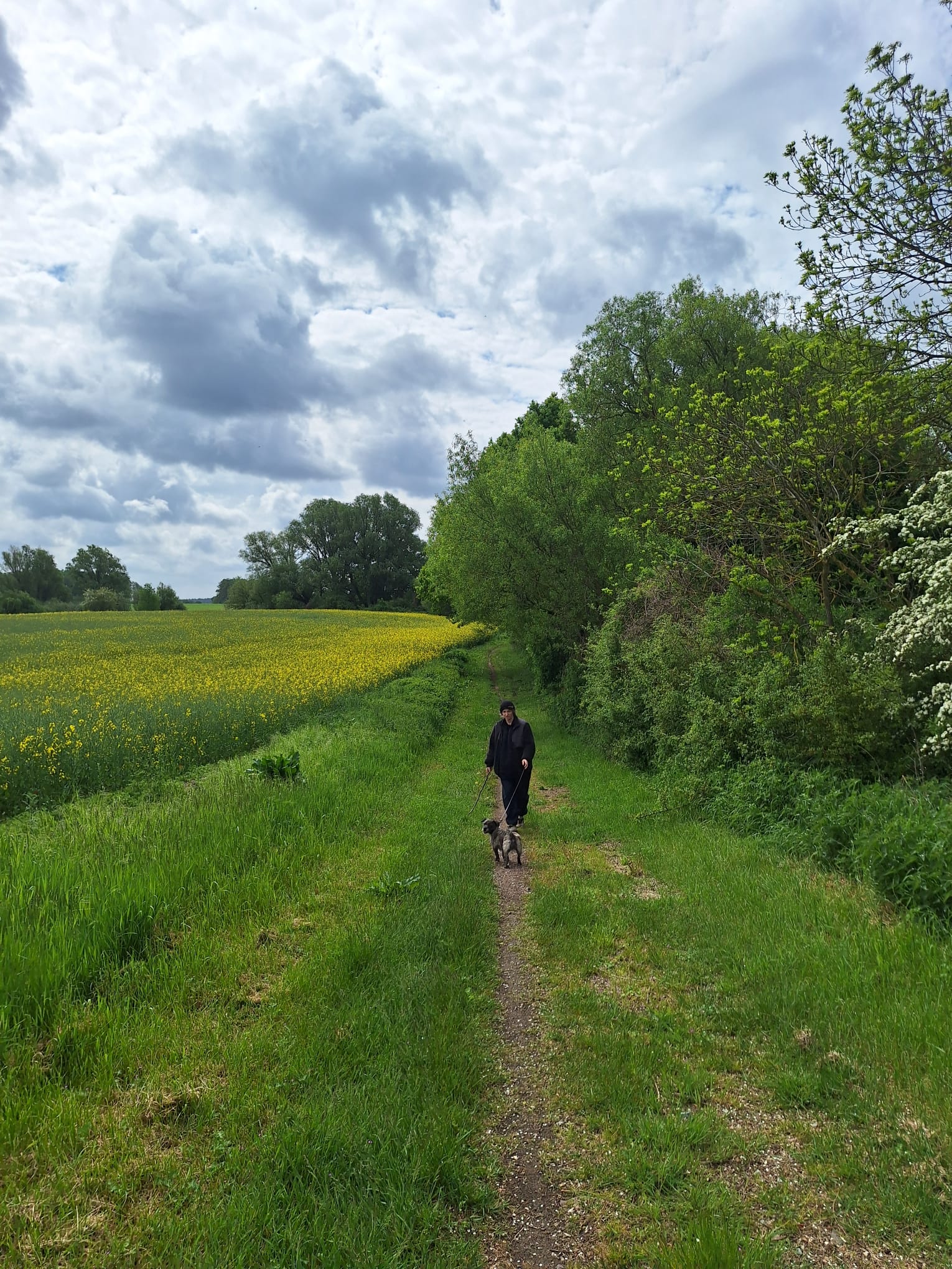 image-12