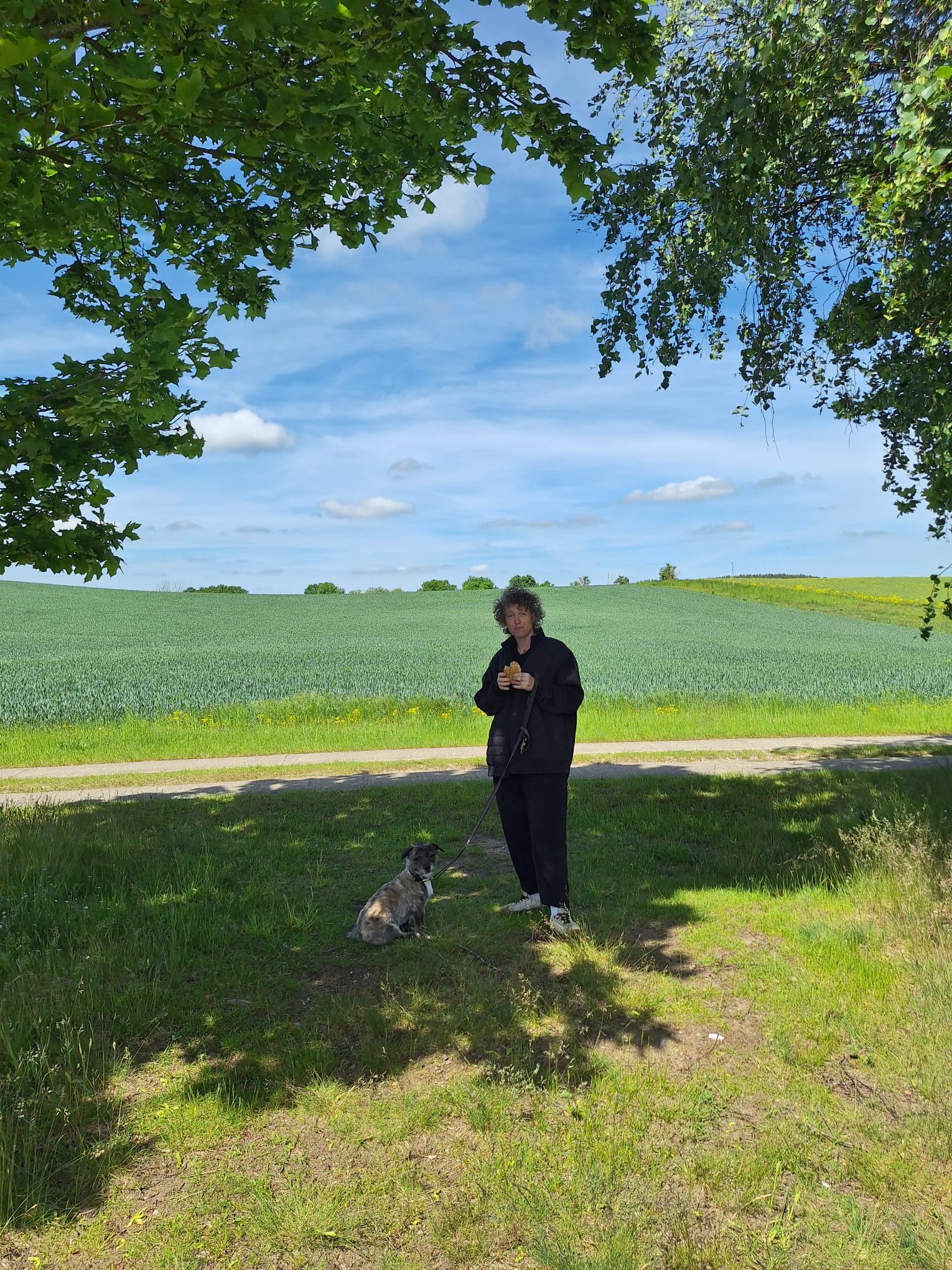 image-11