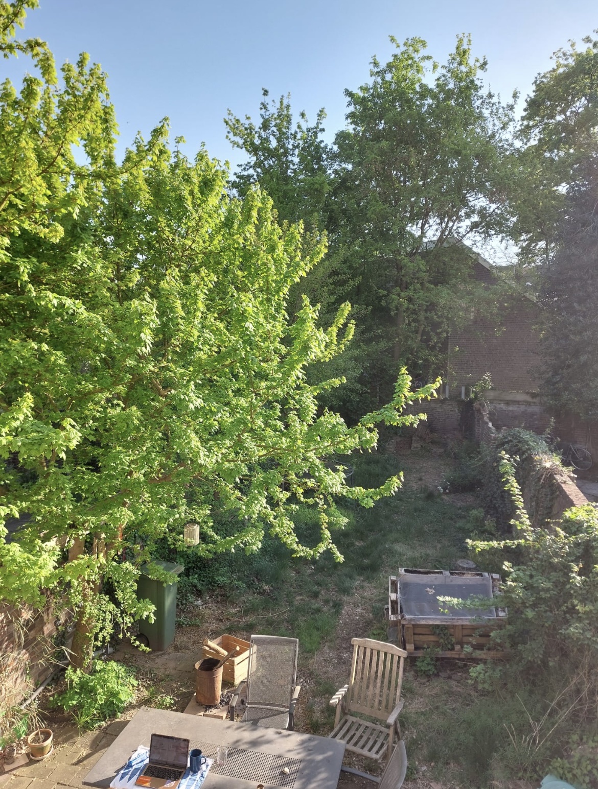 image-6