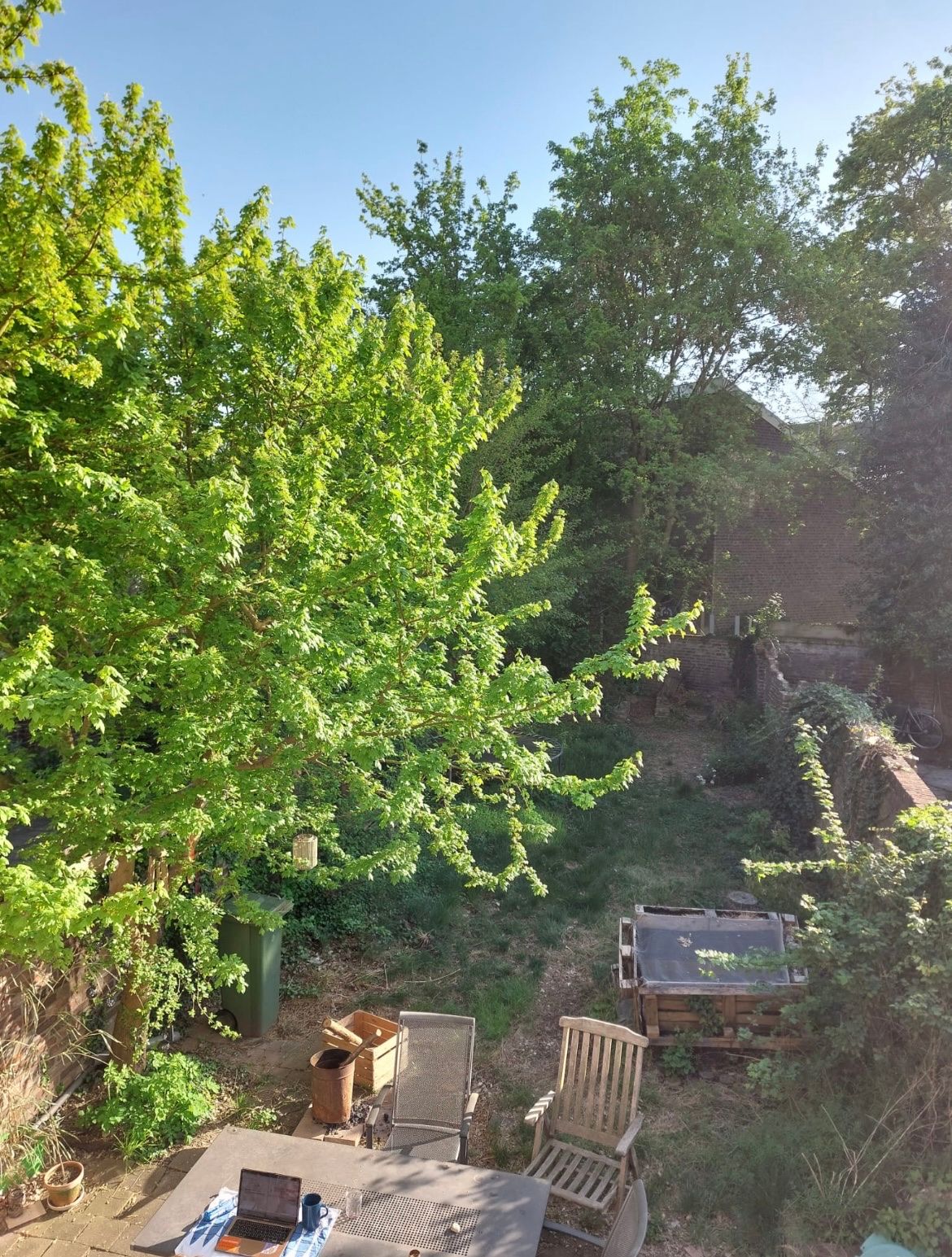 image-6